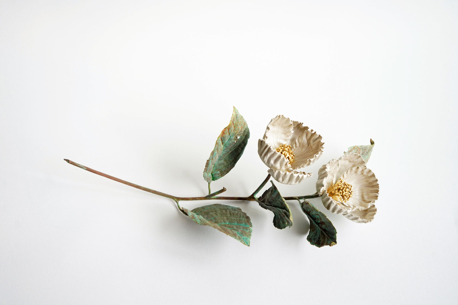 Shota Suzuki, The Summer Camellia, 2025