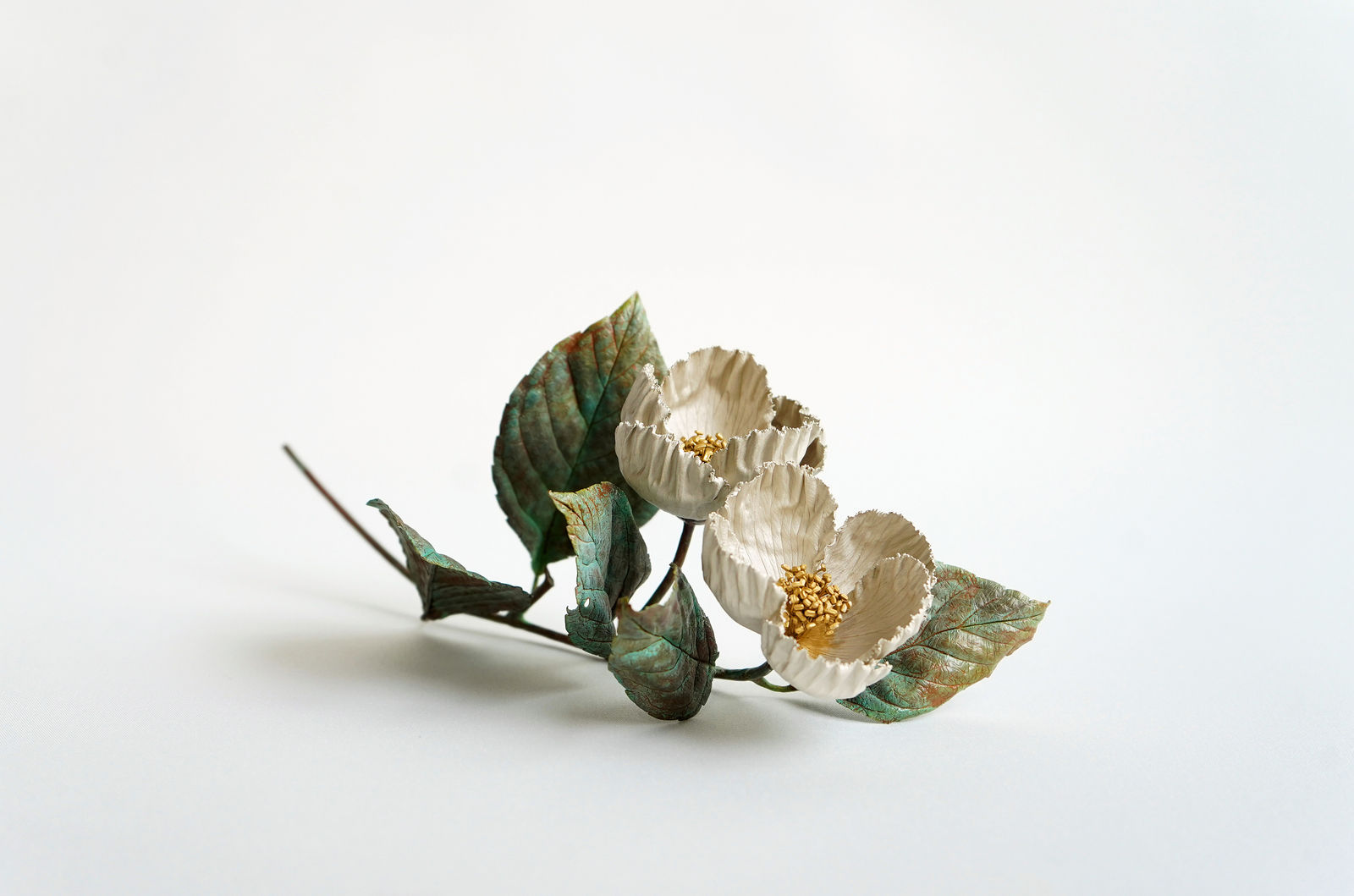 Shota Suzuki, The Summer Camellia, 2025