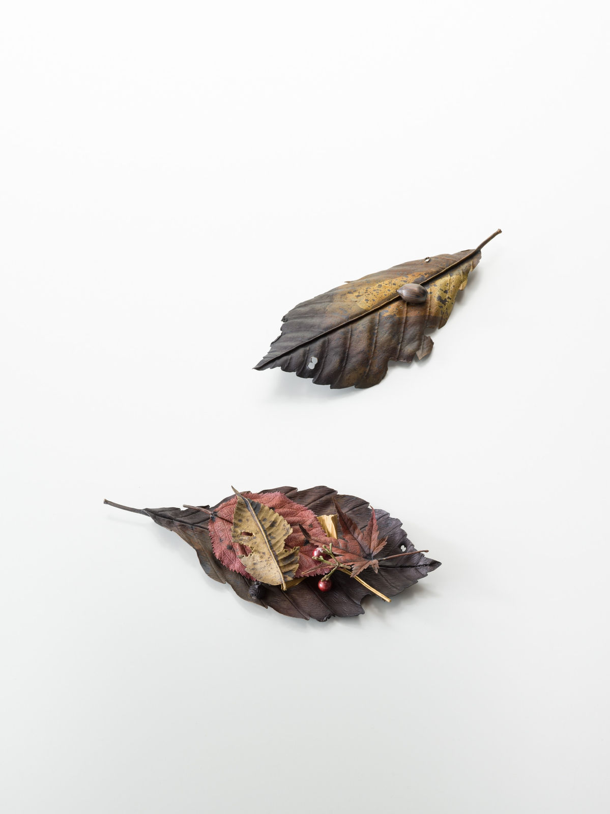 Shota Suzuki, The Autumn Treasure Box, 2025