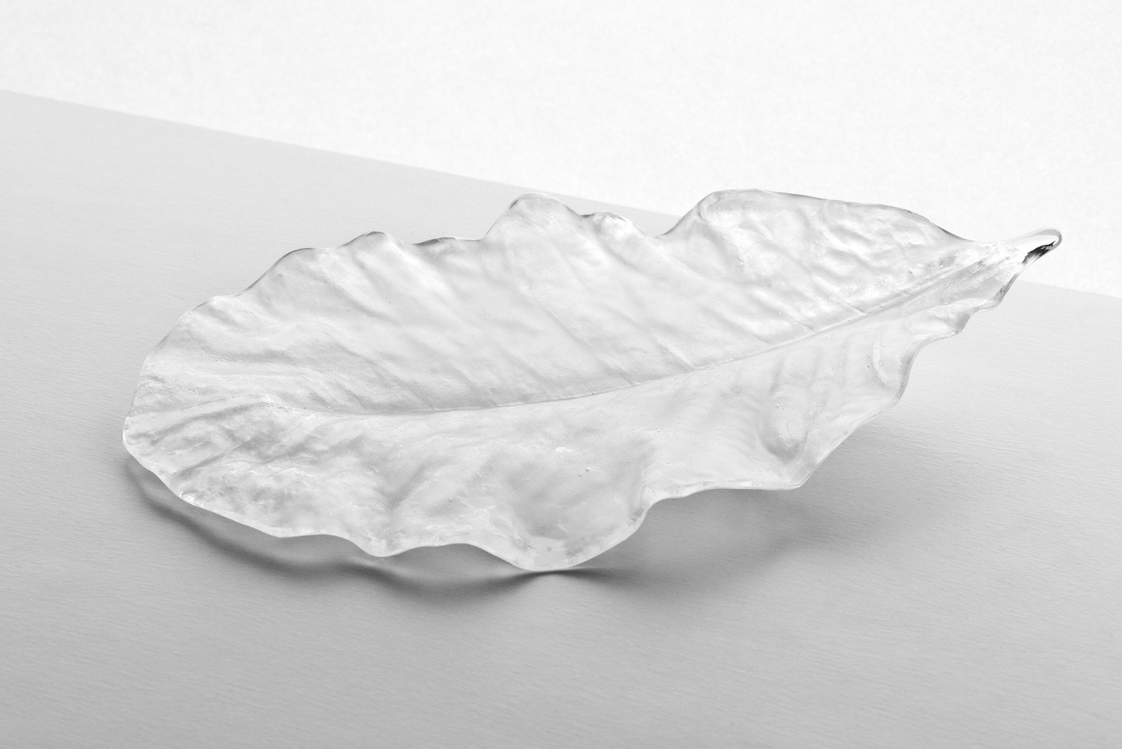 Satomi Den, Hoba leaf, 2024