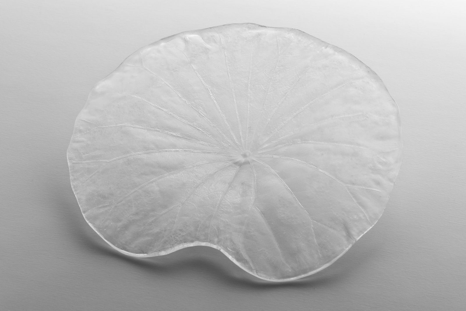 Satomi Den, Lotus, 2024