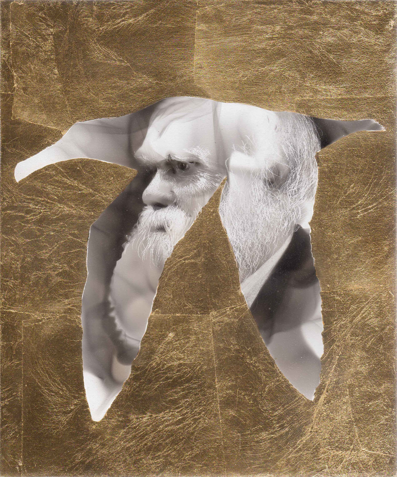 Steven Spazuk, Darwin 6 (Albatros)