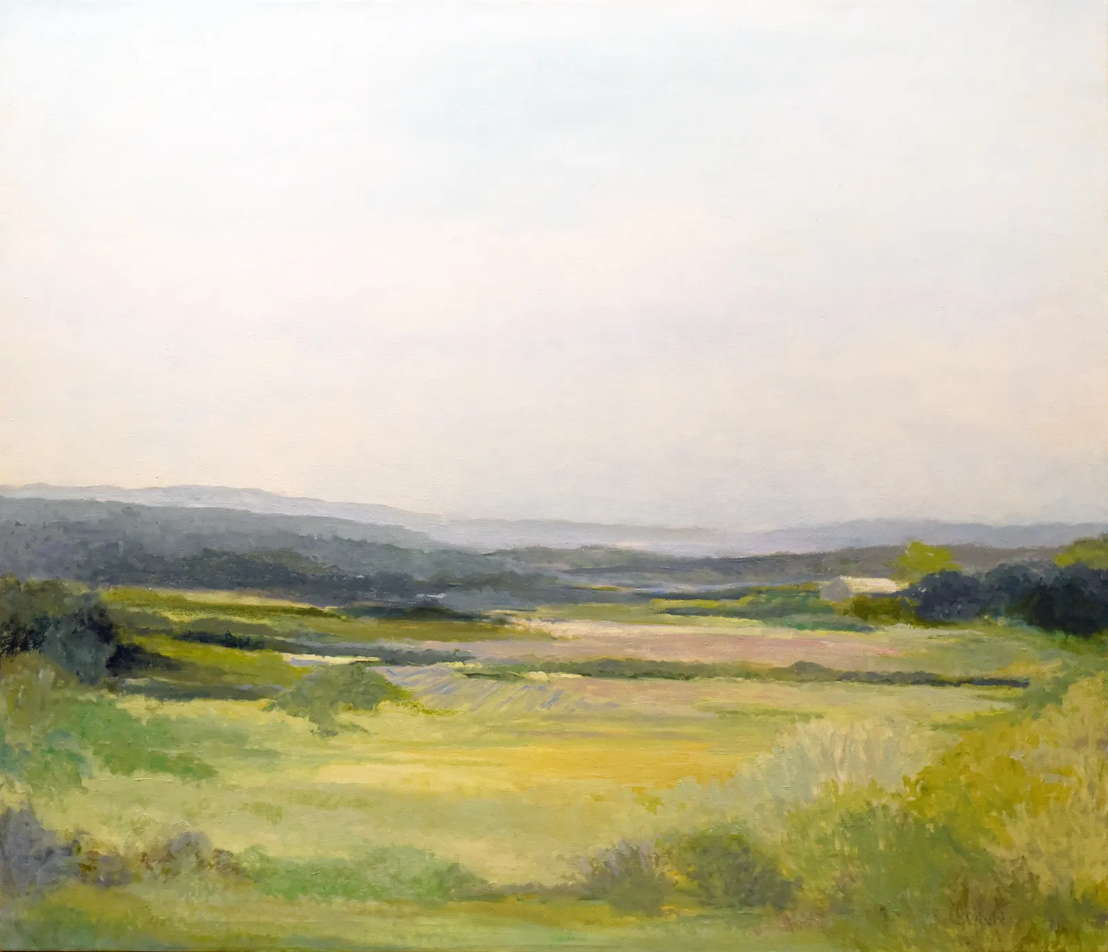 Ellen Gunn, Napa Morning