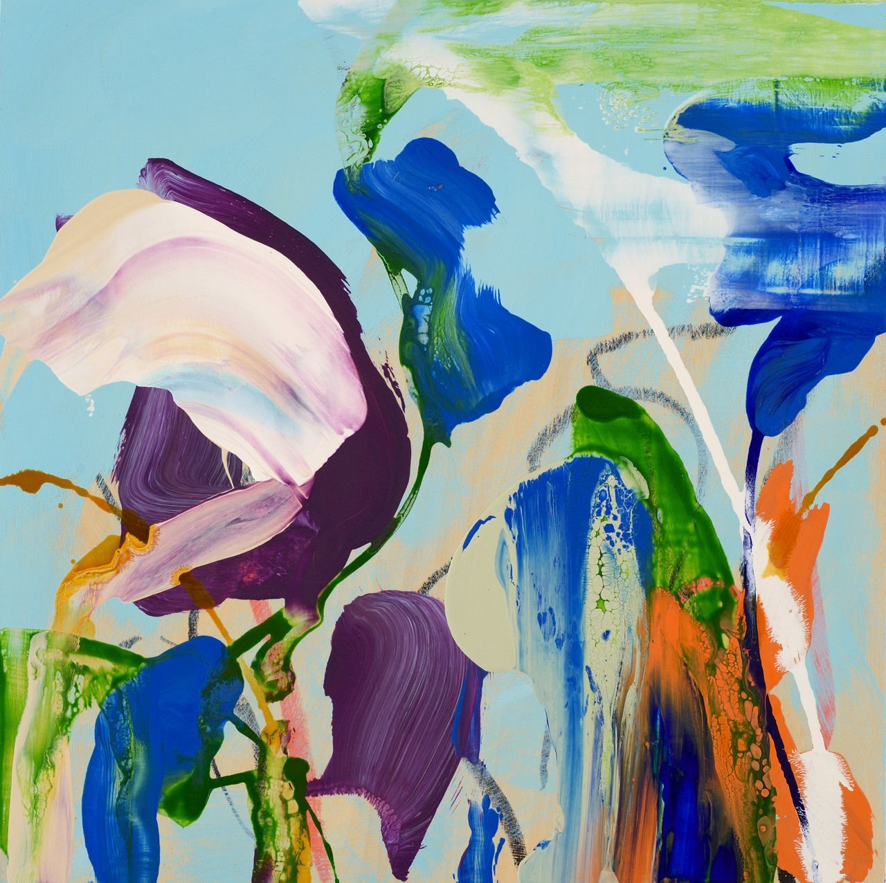 Daniel Phill, Curiosity