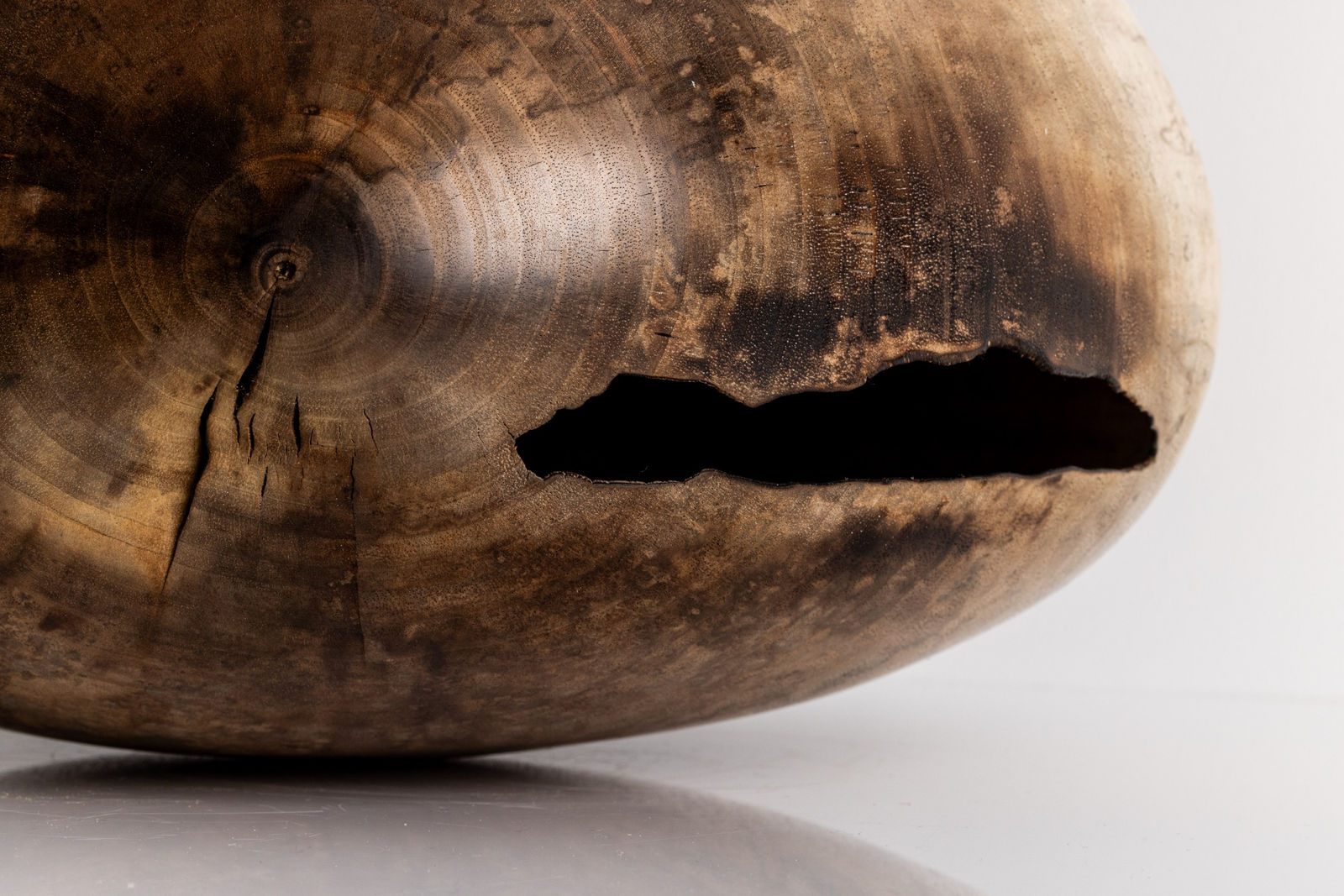 Marco Bellini, Euthanatos no. 13