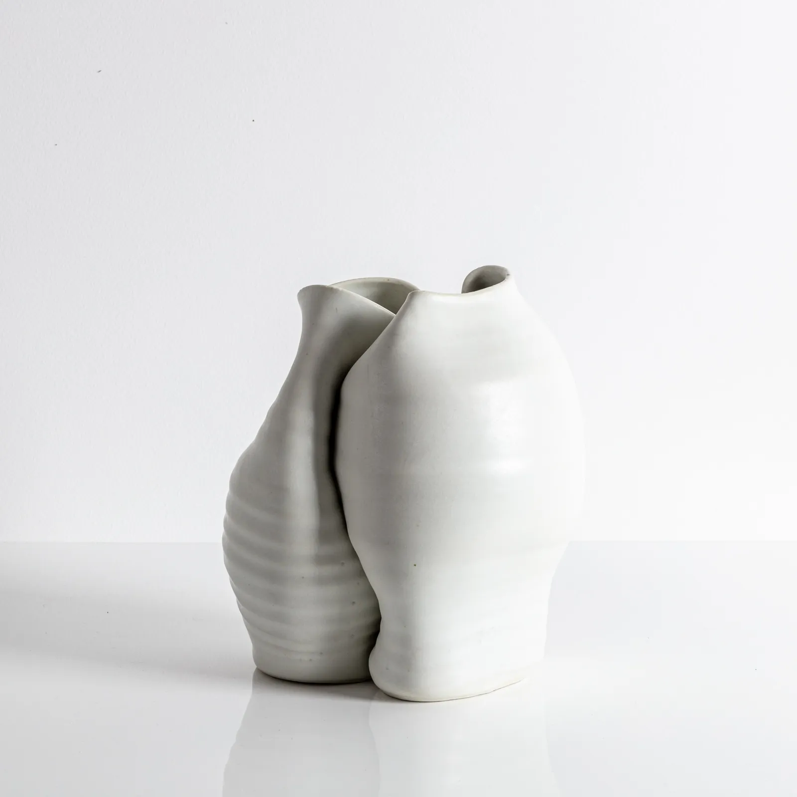 Bonnie Levine, We Series Vessel n. 5