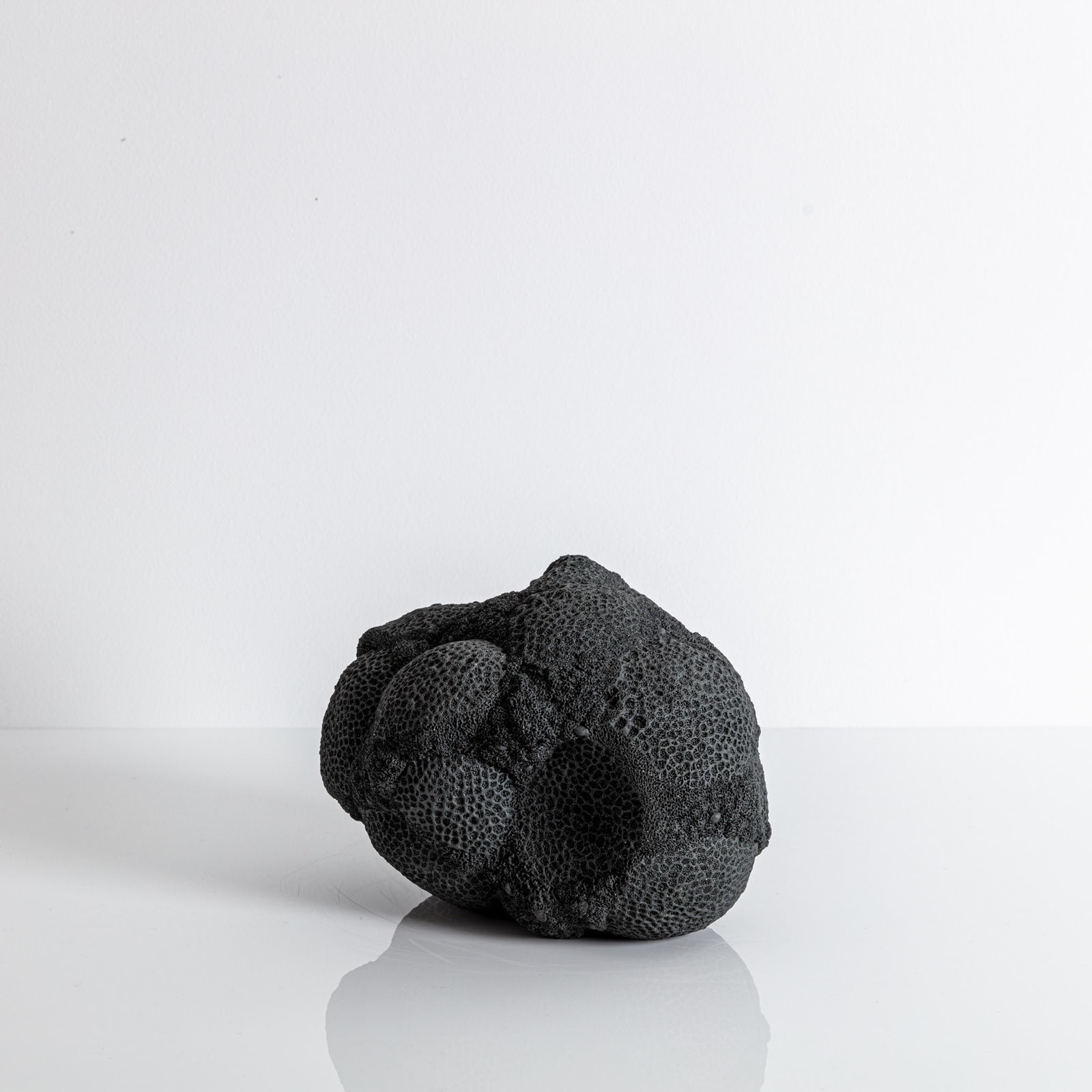 Nathalie Doyen, La 366 ème nuit