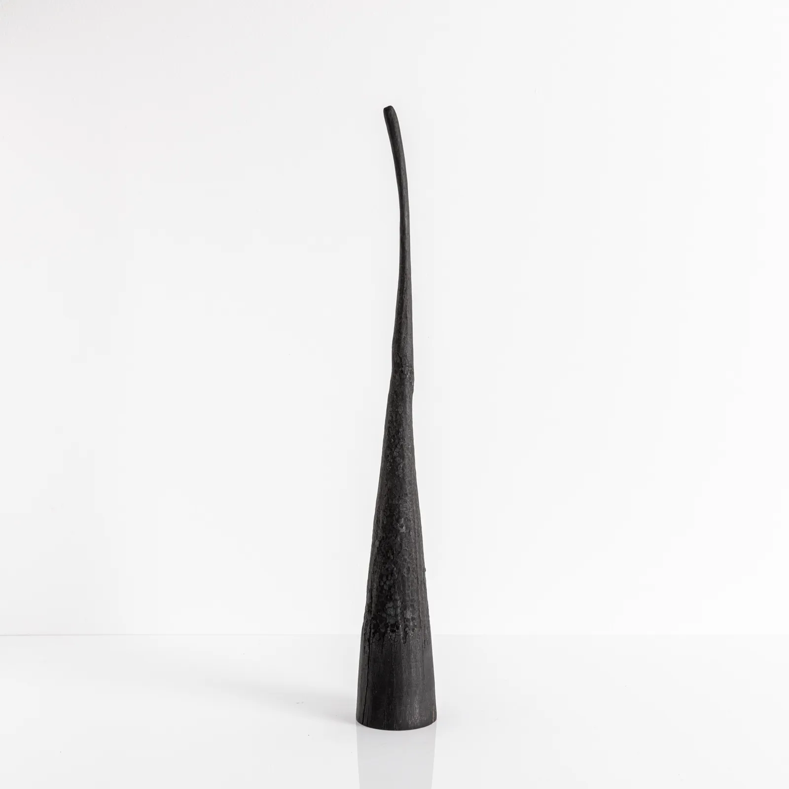 Marco Bellini, Feronia n. 4