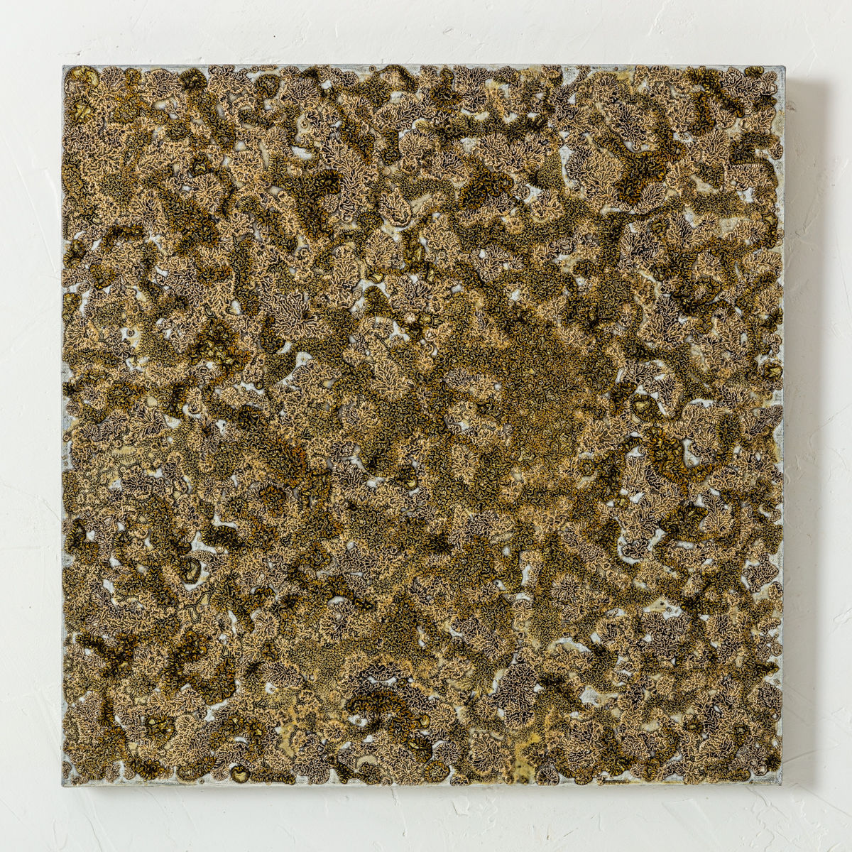 Gudrún Einarsdóttir, Untitled