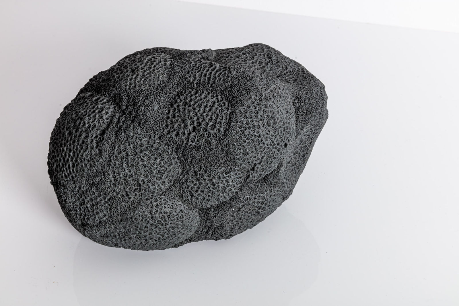 Nathalie Doyen, La 366 ème nuit