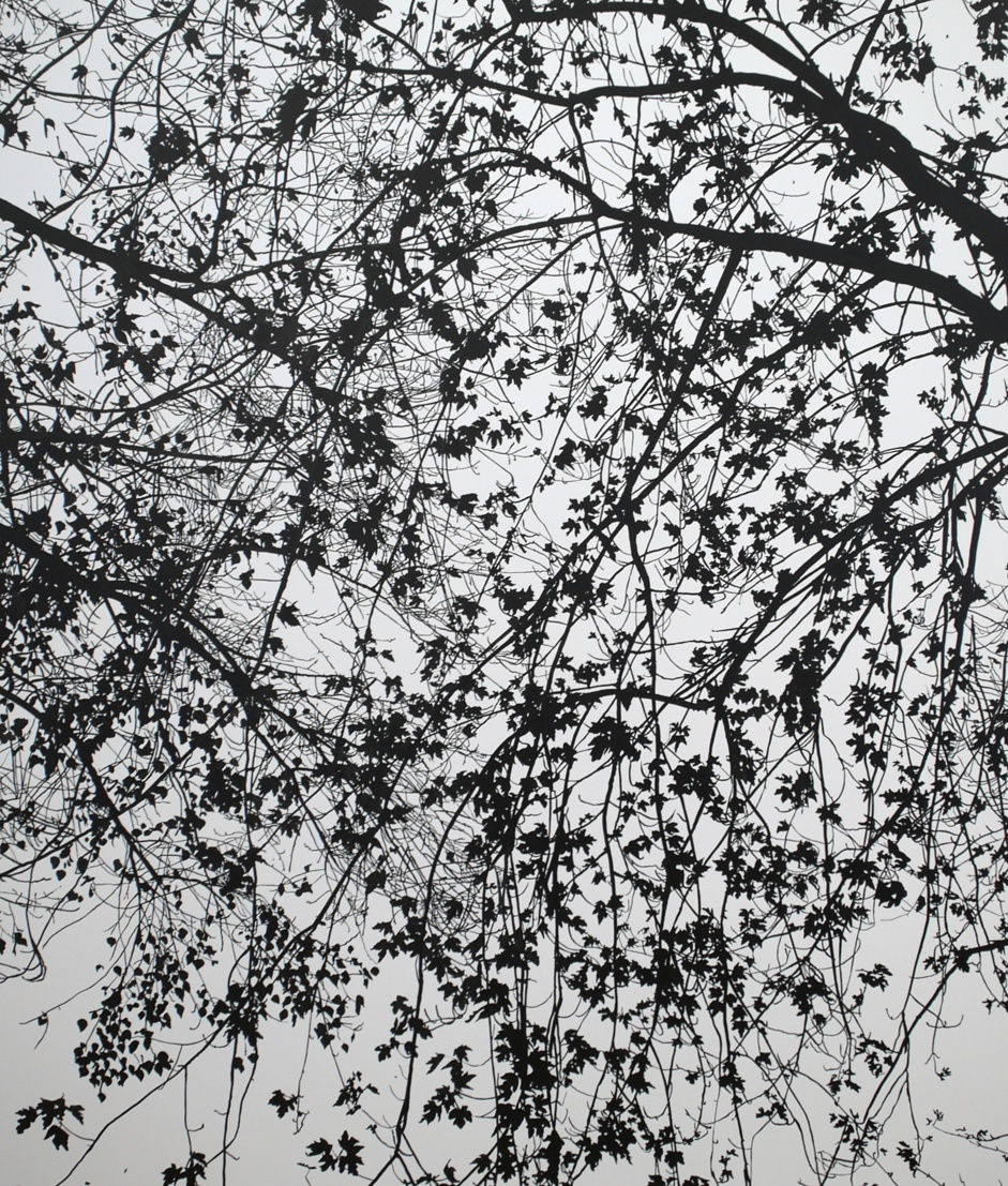 Sue Arrowsmith, Nothing looks the same in the light, 2012