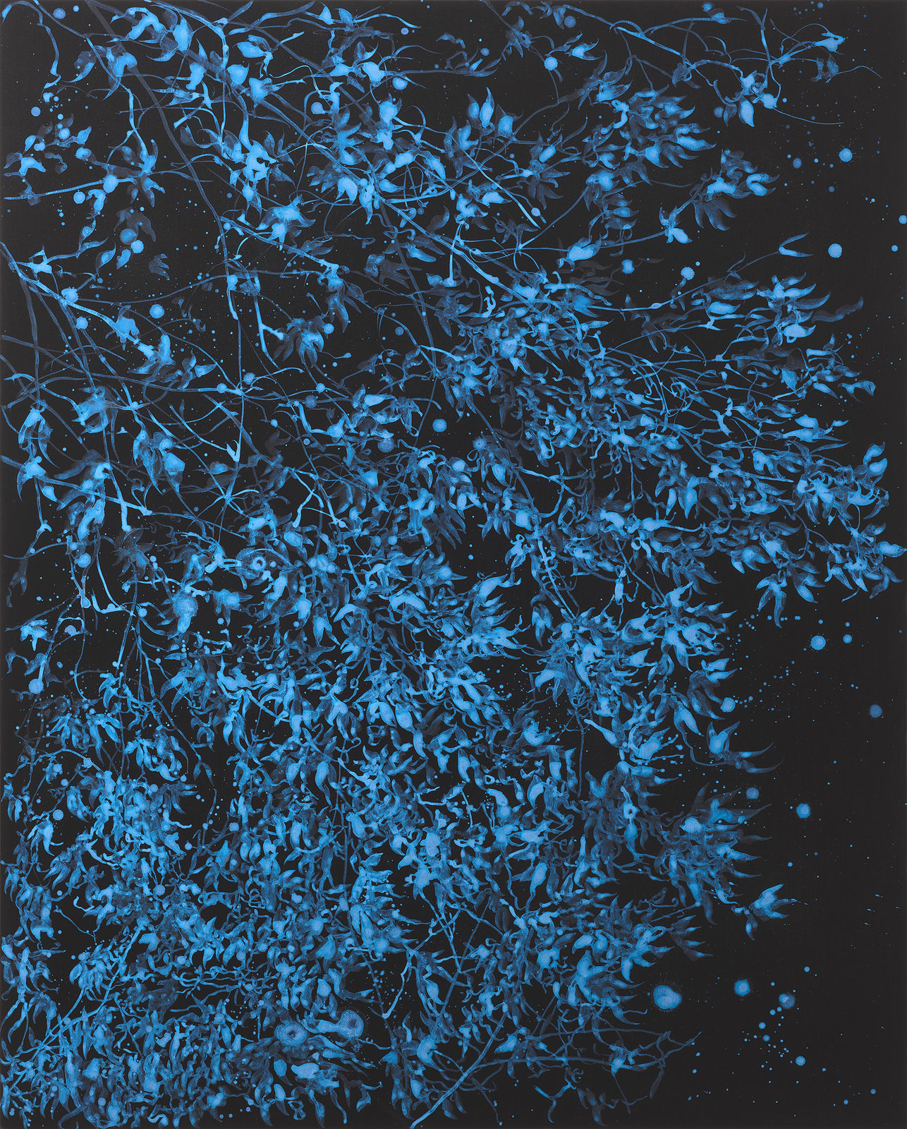 Sue Arrowsmith, To tempt you in, 2019