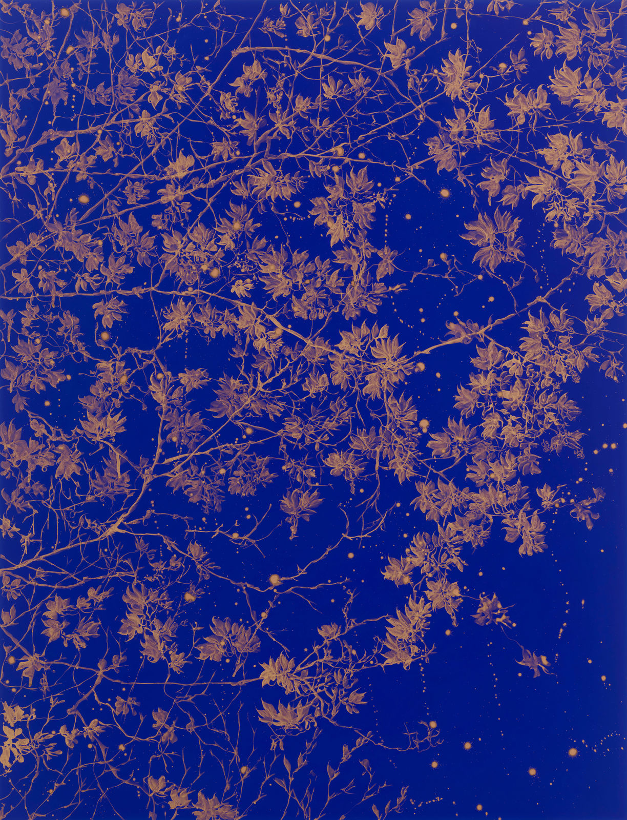 Sue Arrowsmith, Standing at The Edge of The Woods, 2024