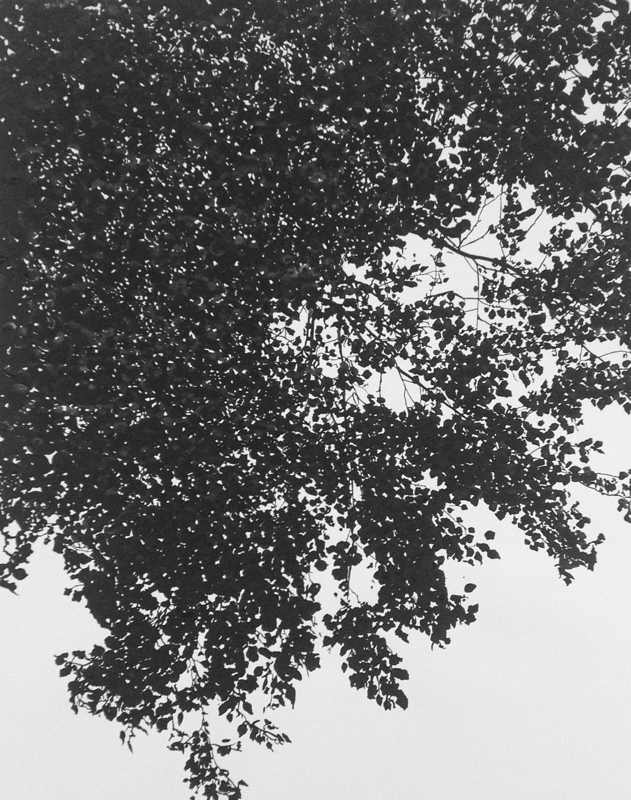 Sue Arrowsmith, We could float among the stars, 2014