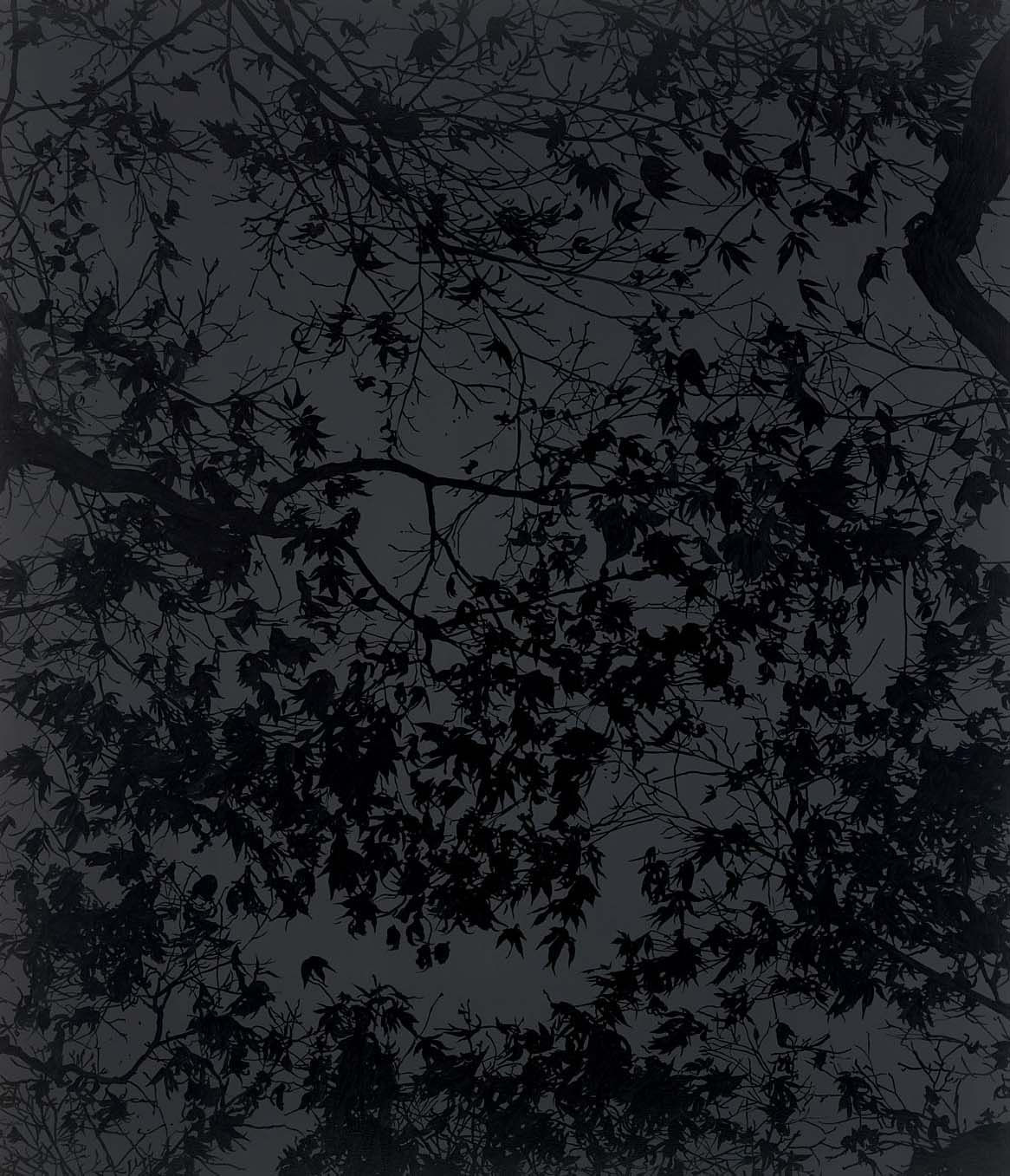 Sue Arrowsmith, Enchanted evening, 2013