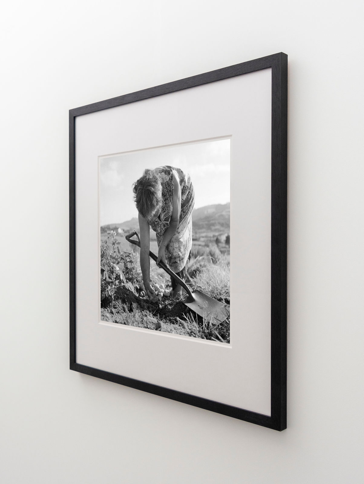 Ans Westra, Hikurangi, 1982