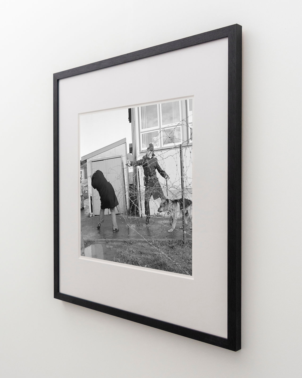 Ans Westra, Springbok Tour protests, Newtown, Wellington, 1981