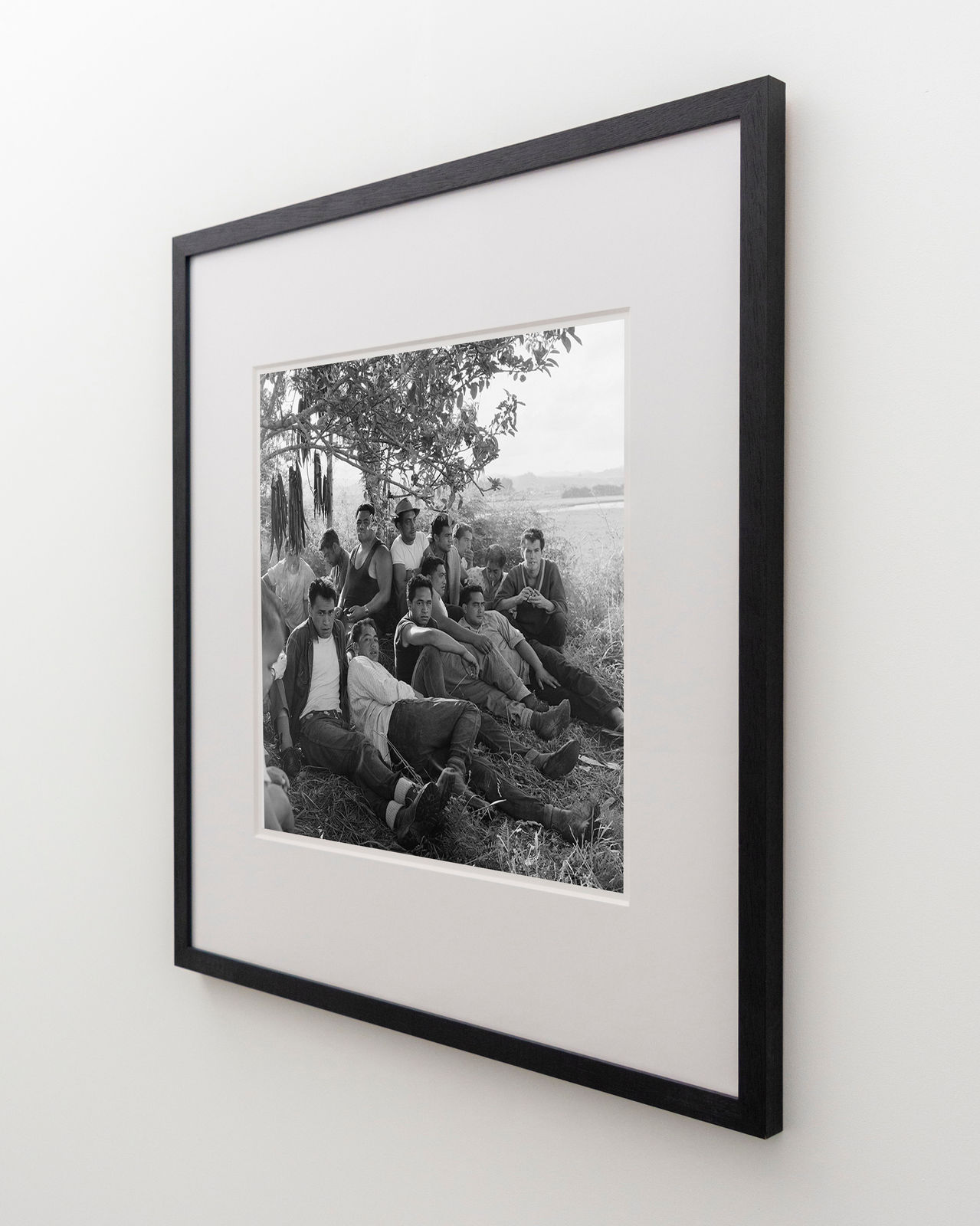 Ans Westra, Drying eels, Ringatu Meeting, Ruatoki, 1963