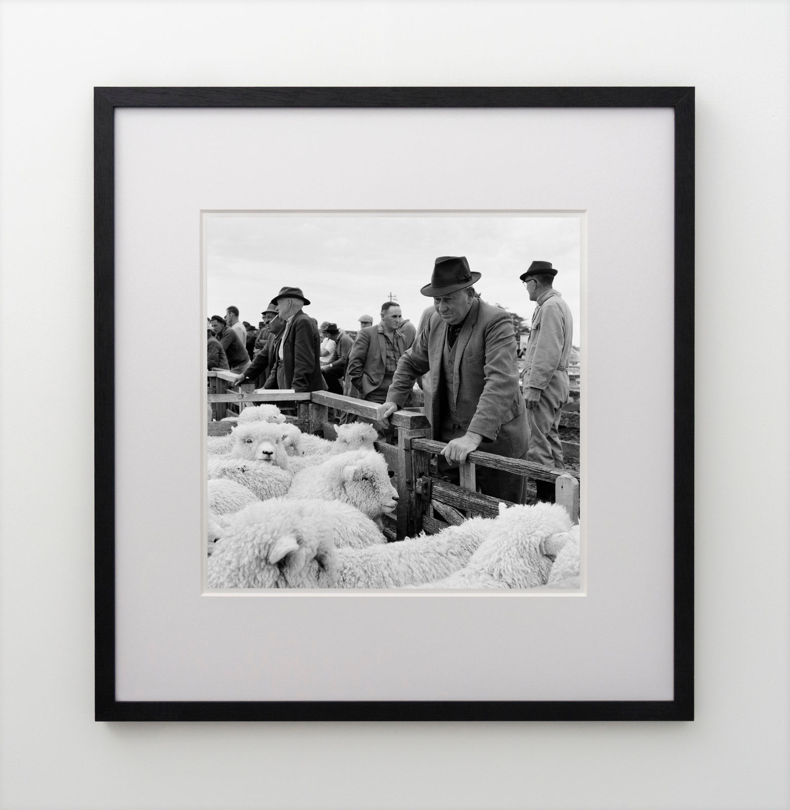 Ans Westra, Saleyards, Lorneville, Southland, 1970