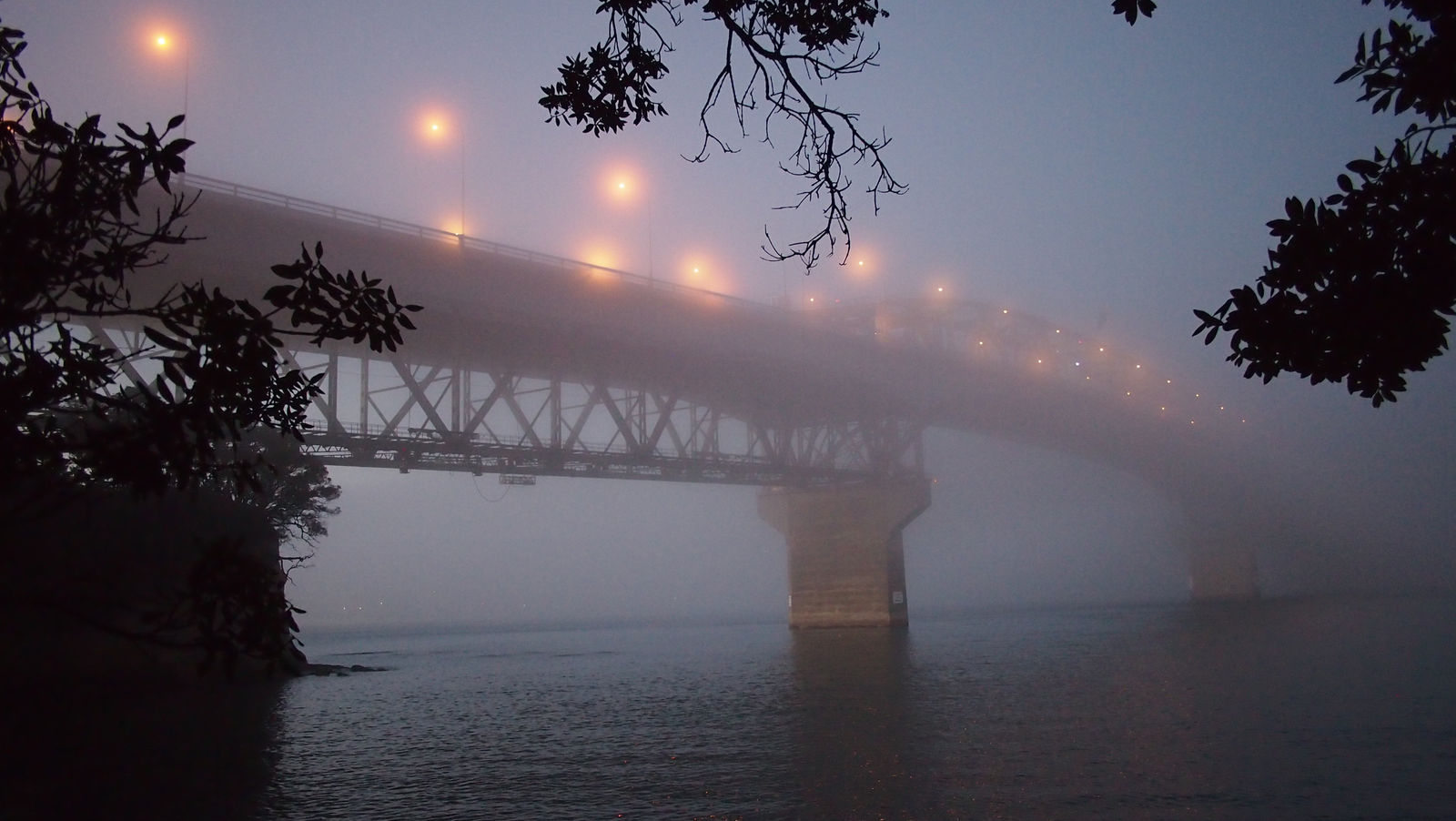 Ans Westra, Auckland, 2013