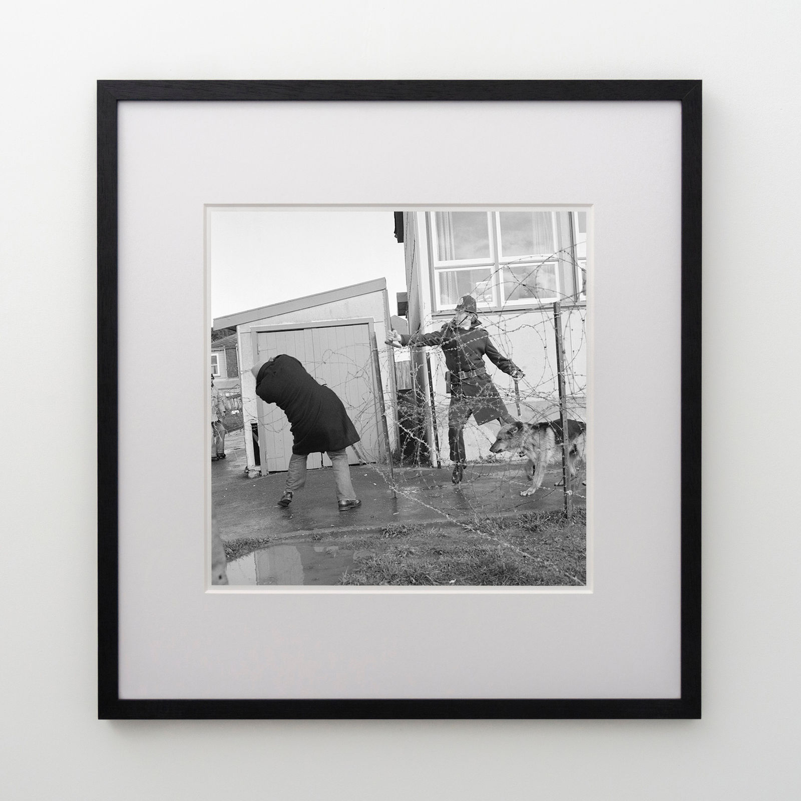 Ans Westra, Springbok Tour protests, Newtown, Wellington, 1981