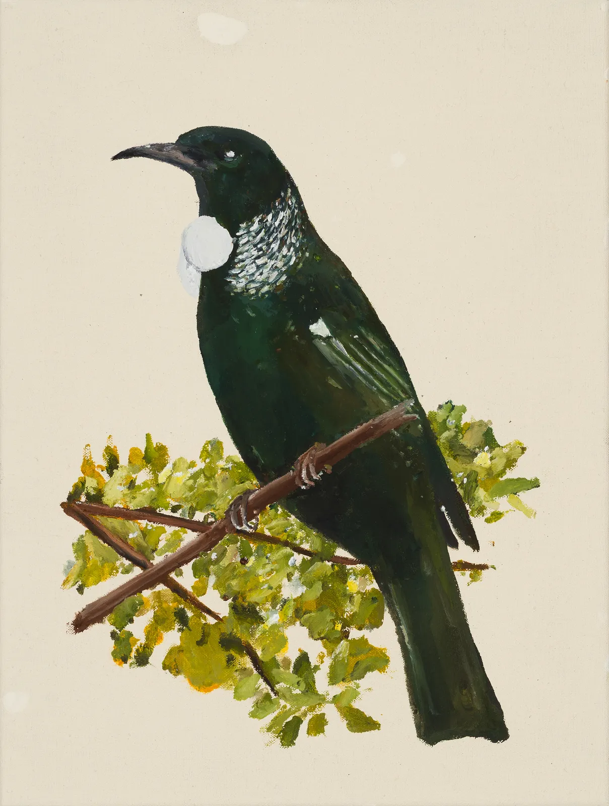 Richard Lewer, Tui, 2026