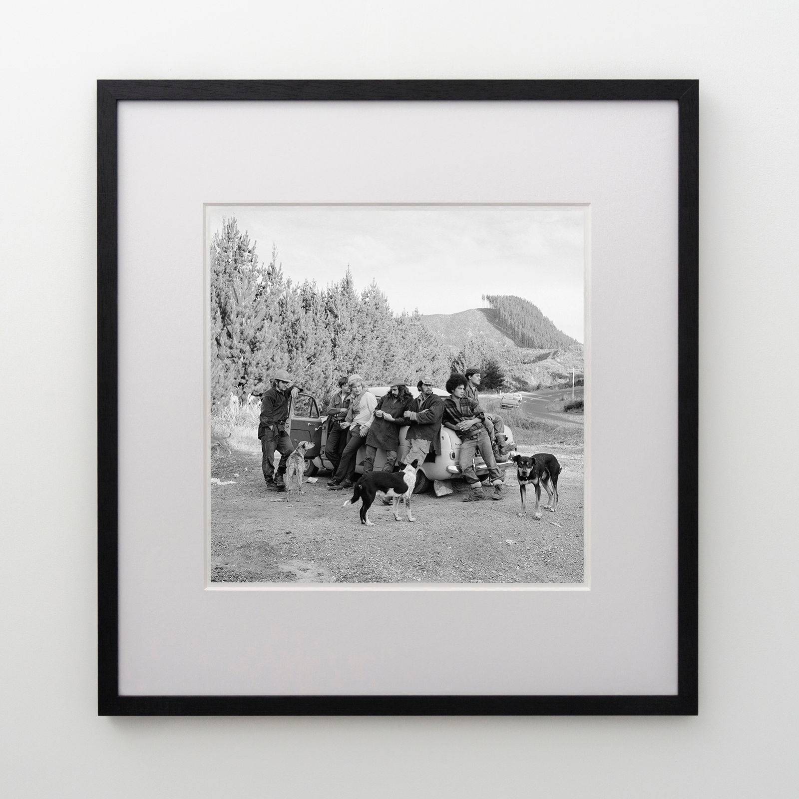 Ans Westra, Along RD1, SH1, Tokoroa Area, 1972