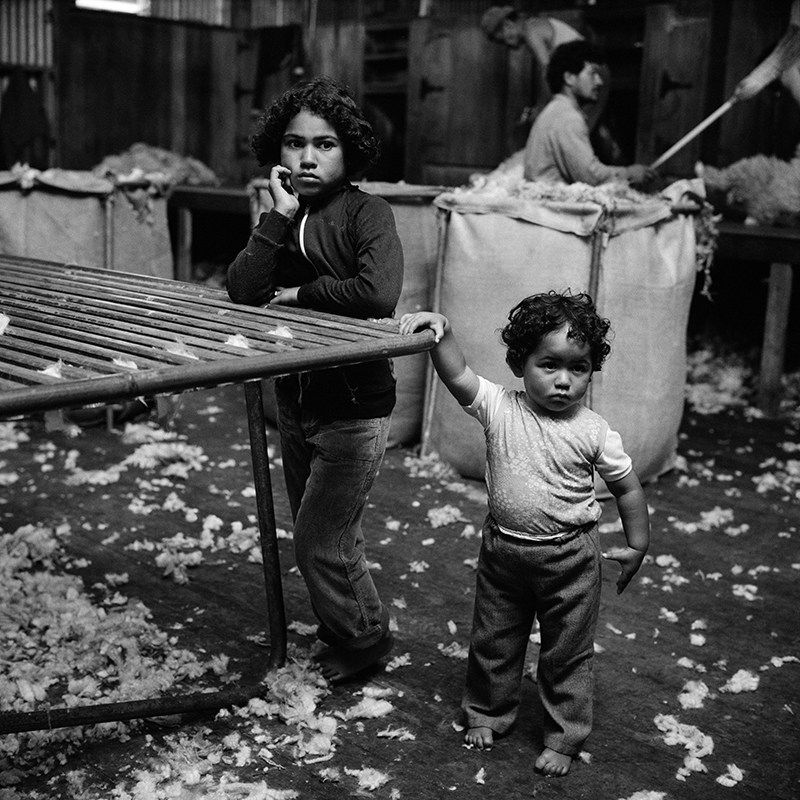 Ans Westra, Rangitukia, East Cape, 1981