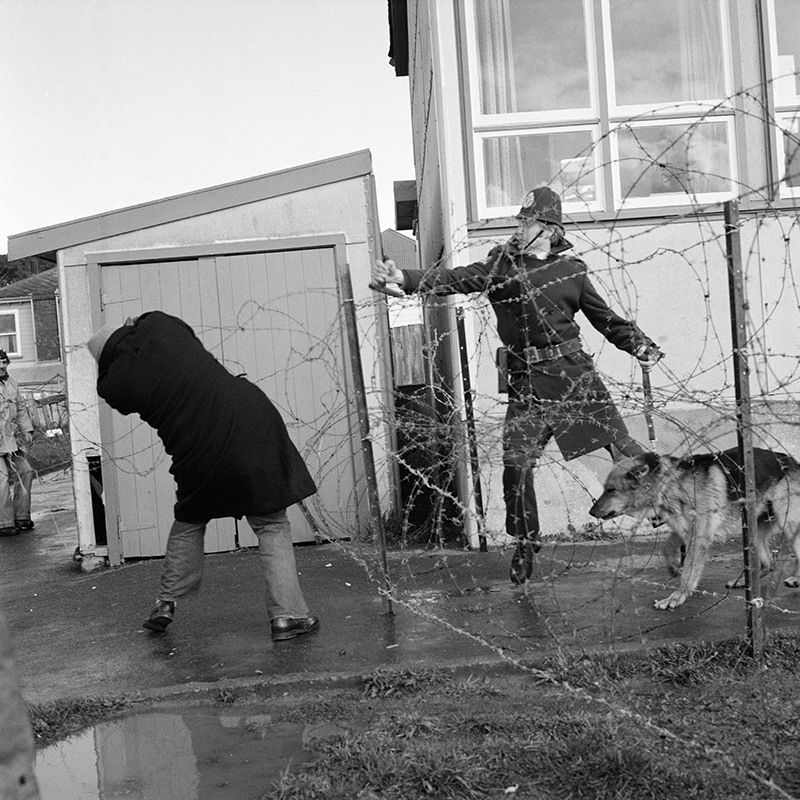 Ans Westra, Springbok Tour protests, Newtown, Wellington, 1981