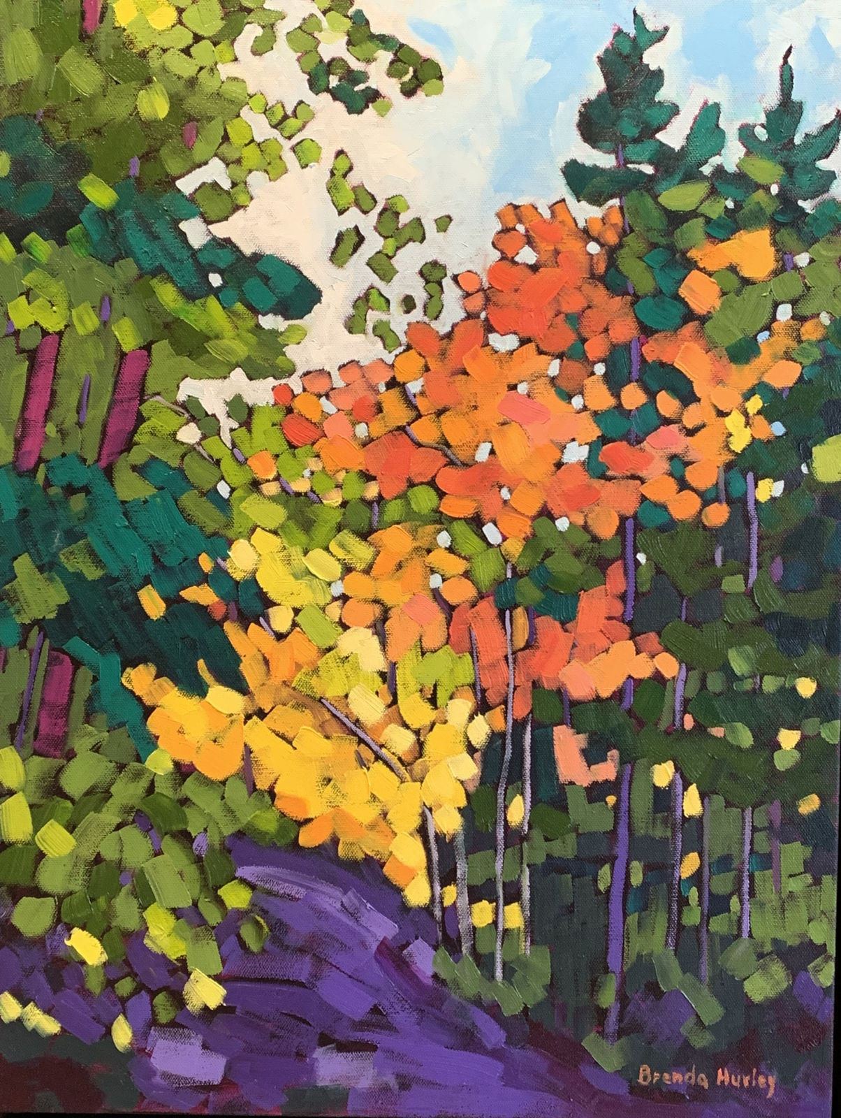 Brenda Hurley, Sibley Blaze