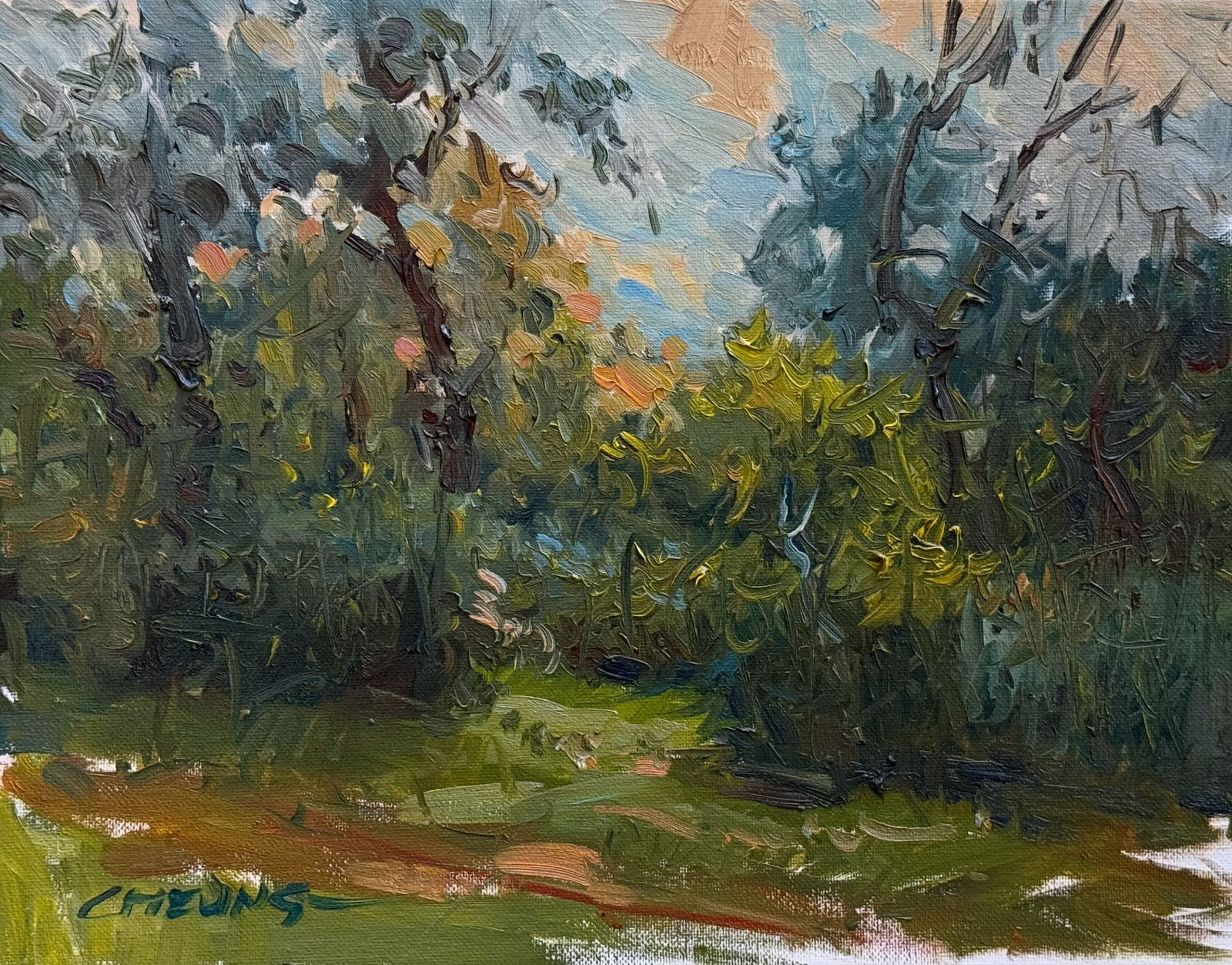 Peter Cheung, Bluffs Park Evening