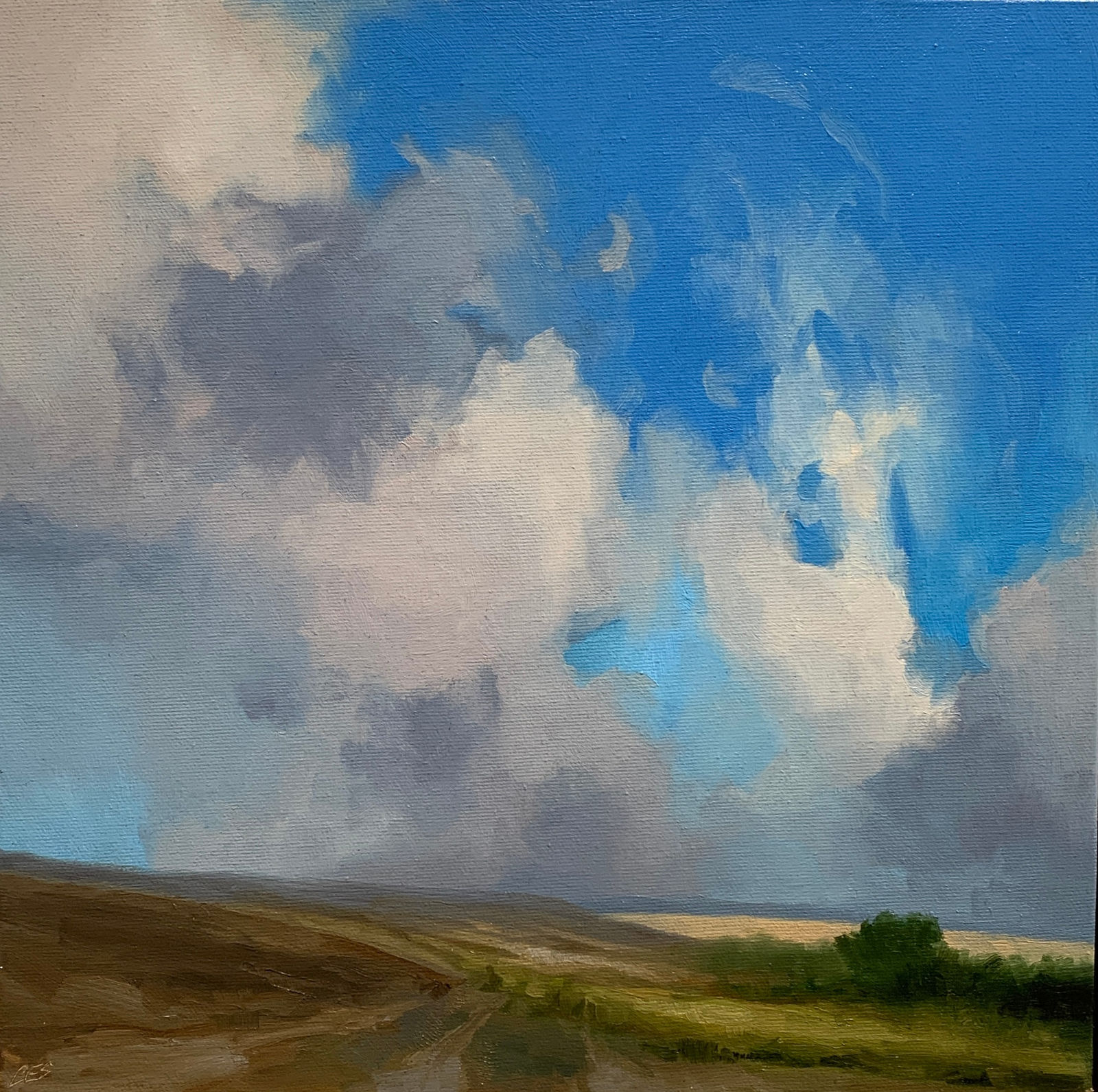 Christine Code, Prairie Tower