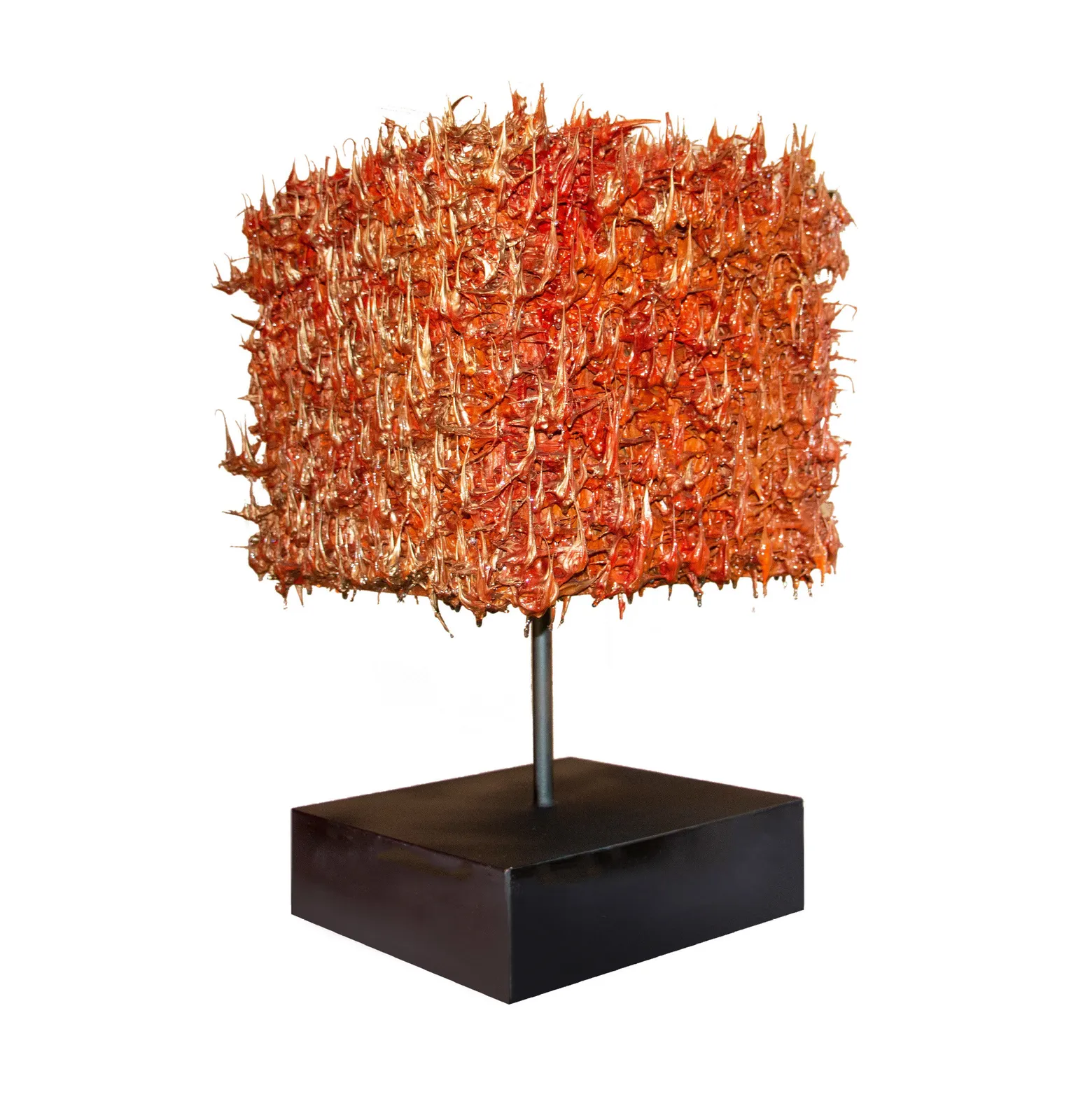 Susana Anaya, Thinking Outside the Box 5/9, 2022