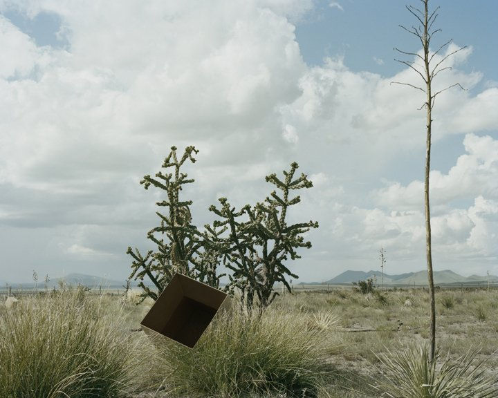 Landscape with an open cardboard box sitting in the foreground
