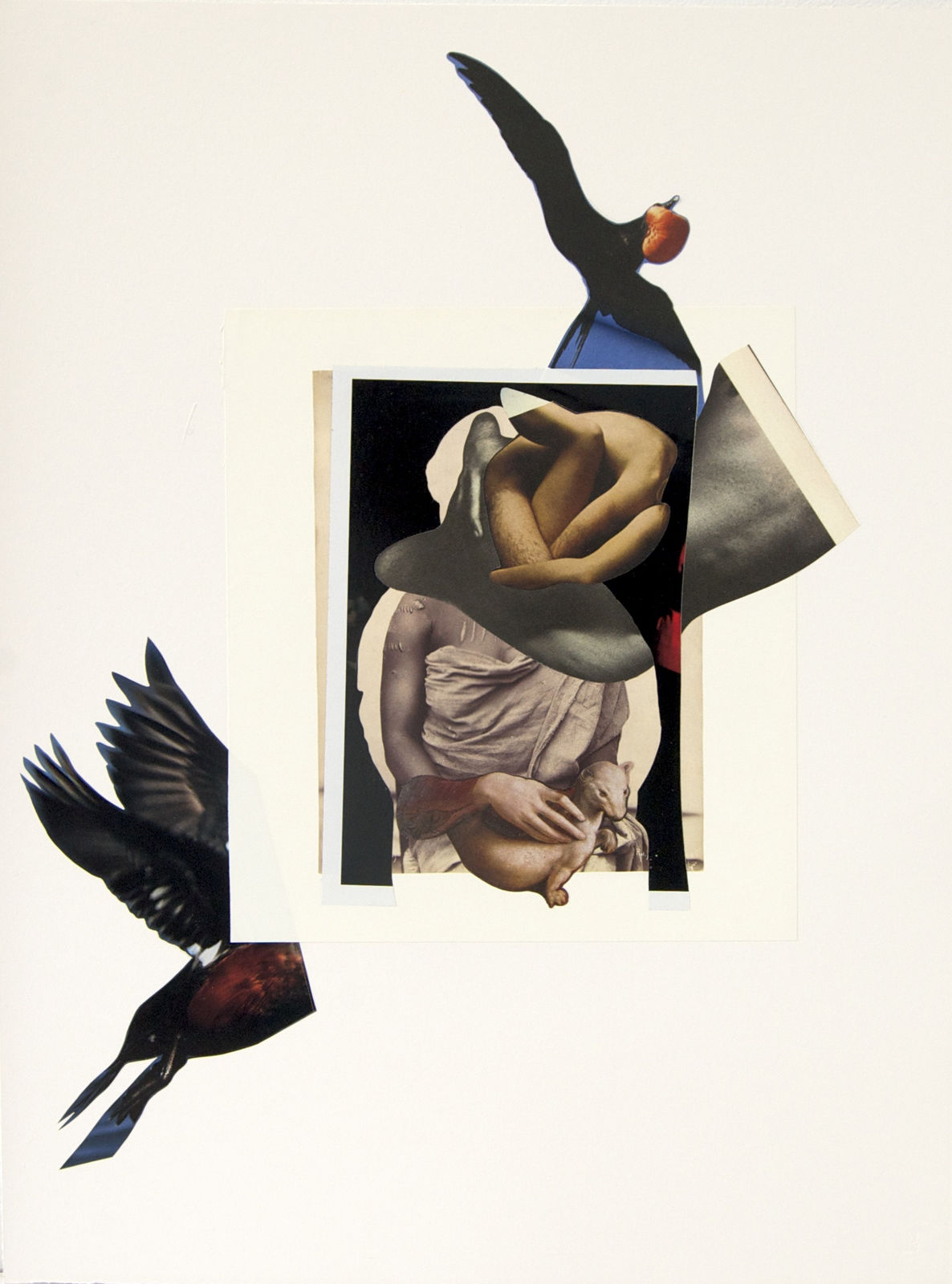 Collage featuring image cut from ethnographic publication, woman holding ermine, birds