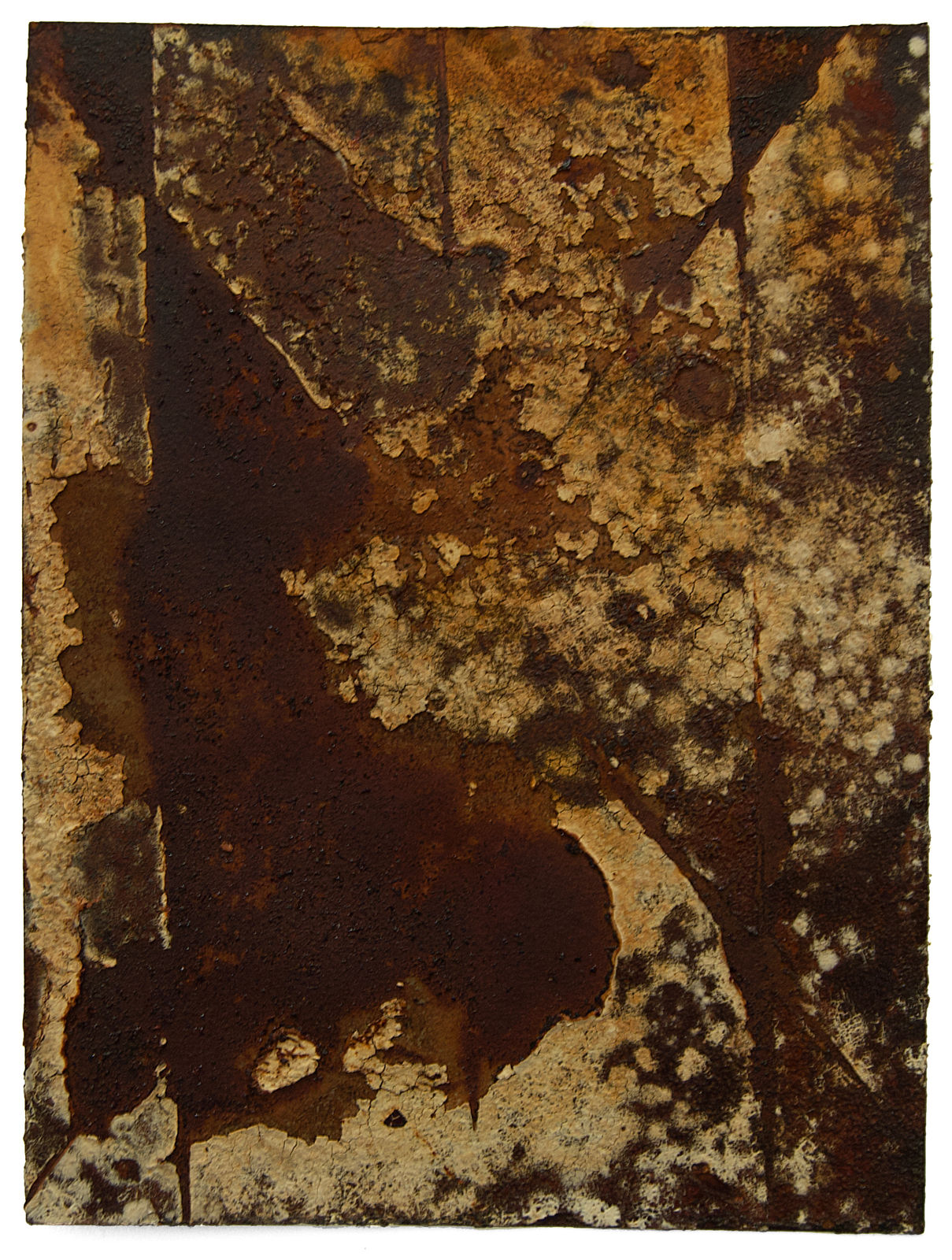 Abstract work on paper with light brown organic shapes over dark brown ground