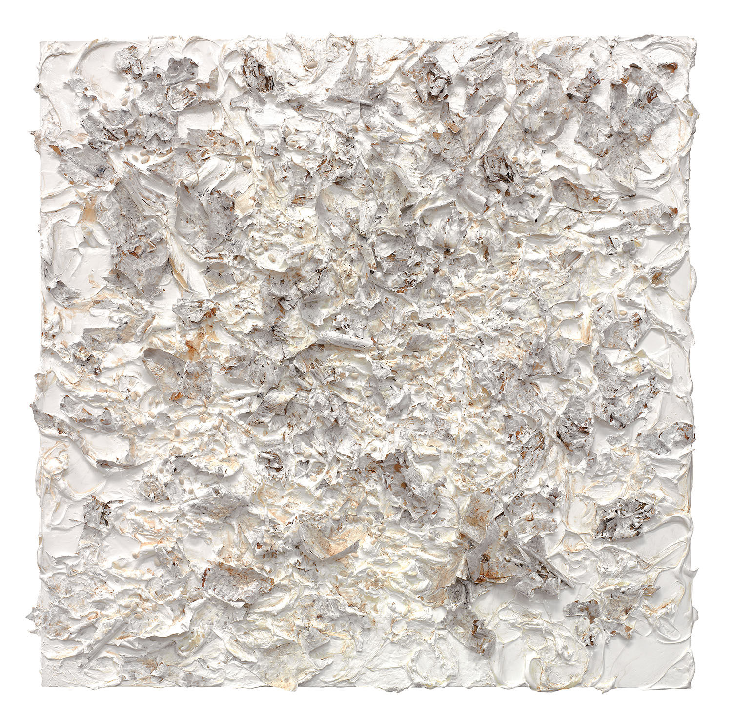 Susan Swartz, Evolution of Nature 8, 2020