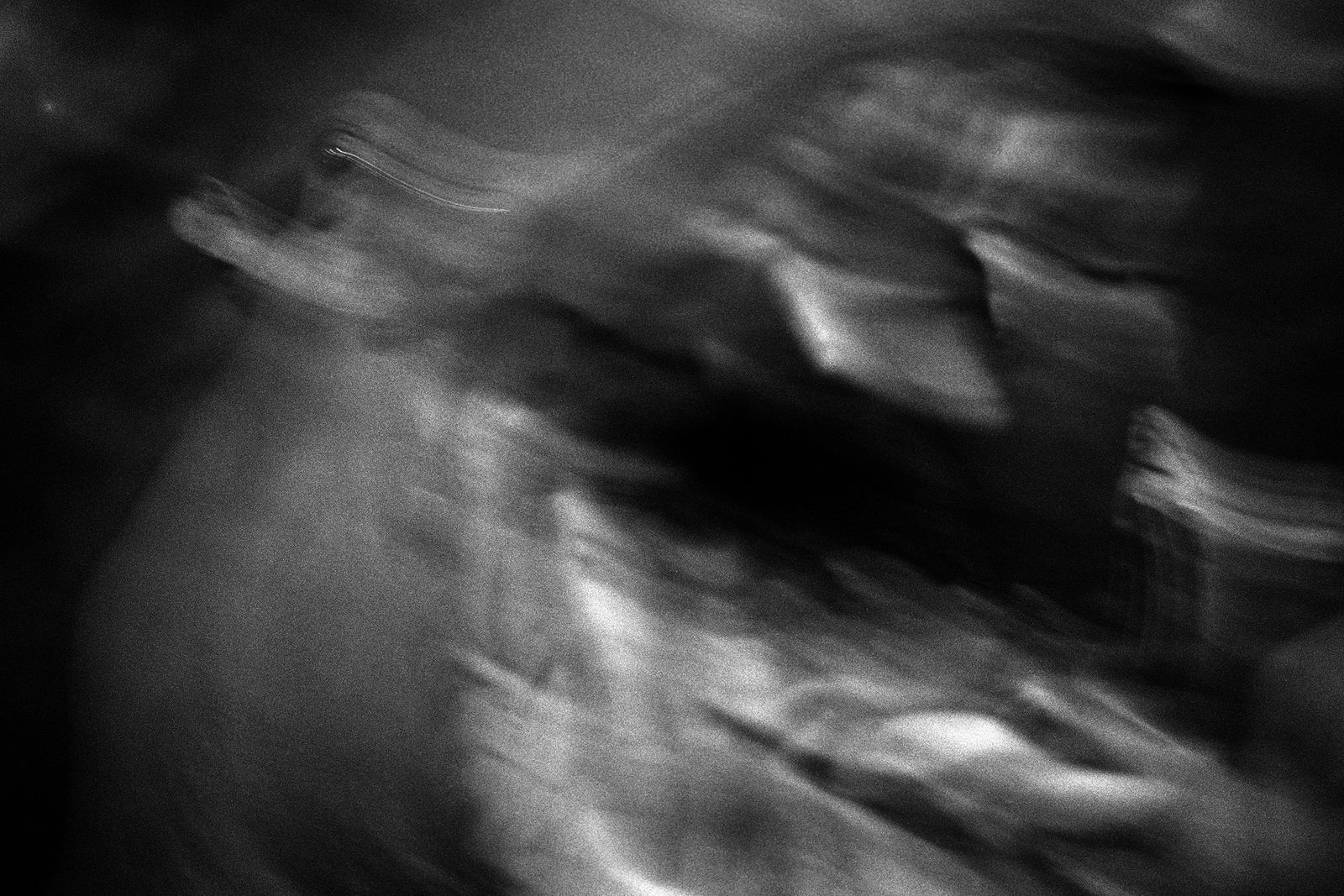 Lucas Bullens, Hippopotamus, 2020