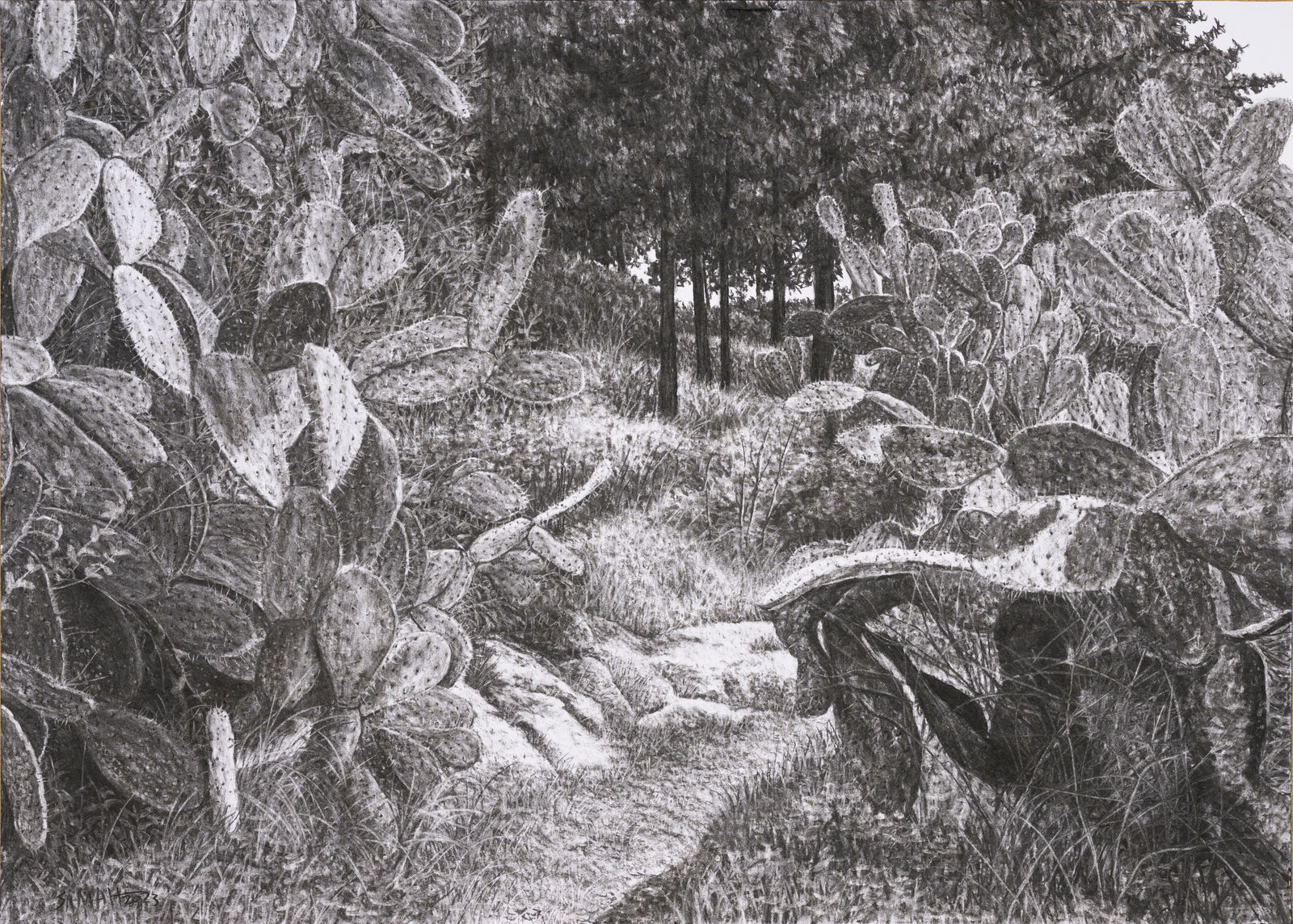 Samah Shihadi, Mi'ar #1, 2023