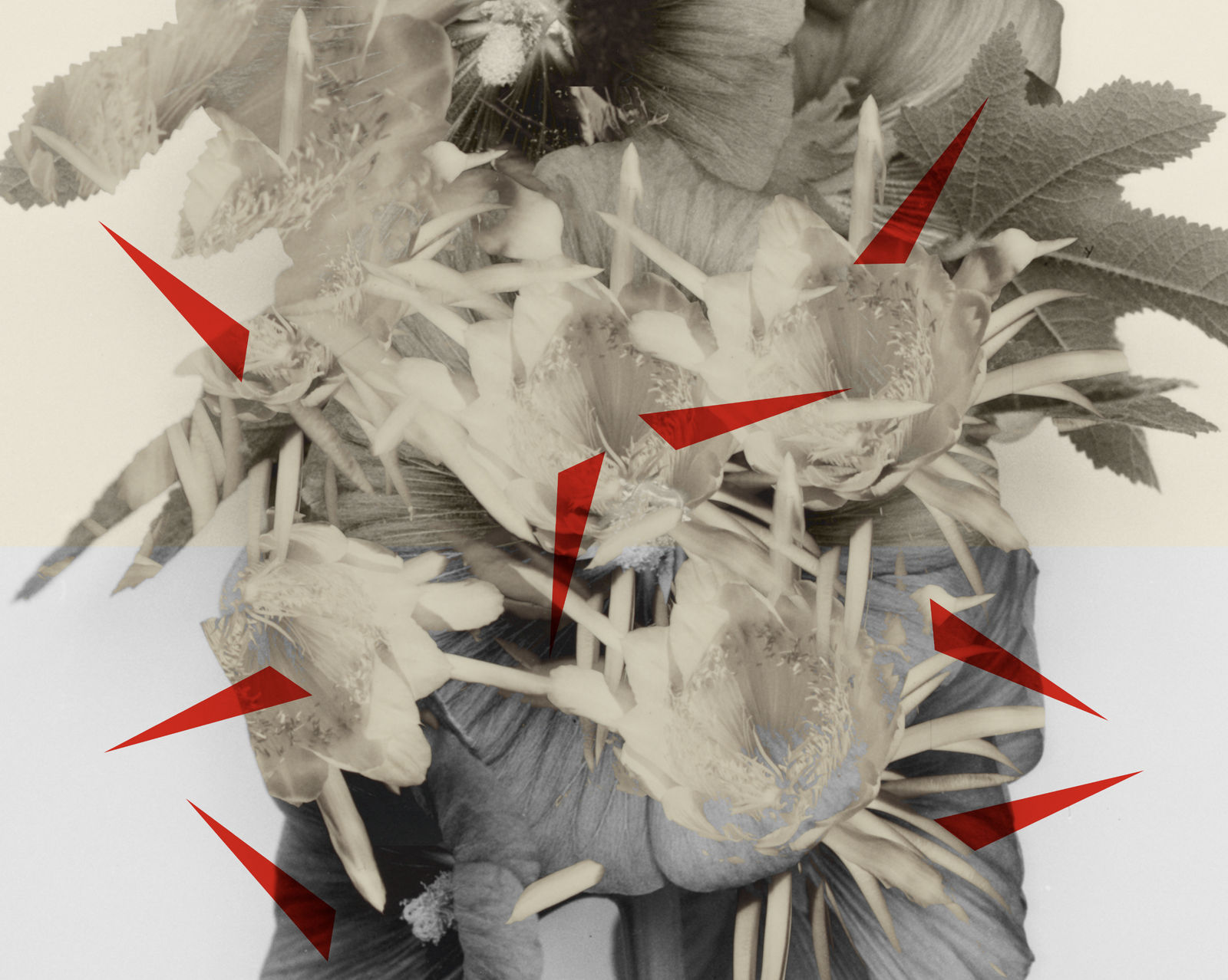 Hazem Harb, Thorns No 1, 2022