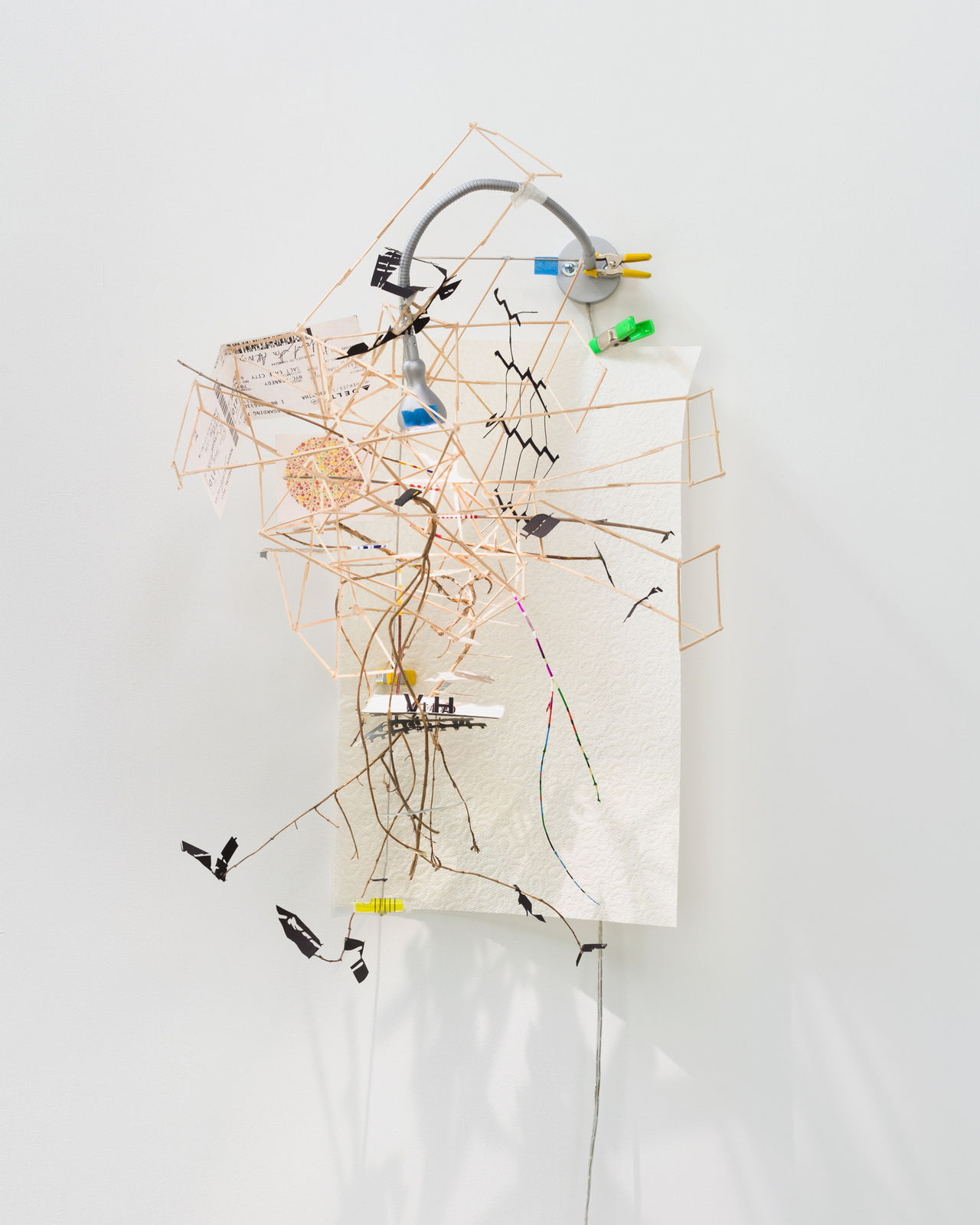 Image of Landing (Nest Series)