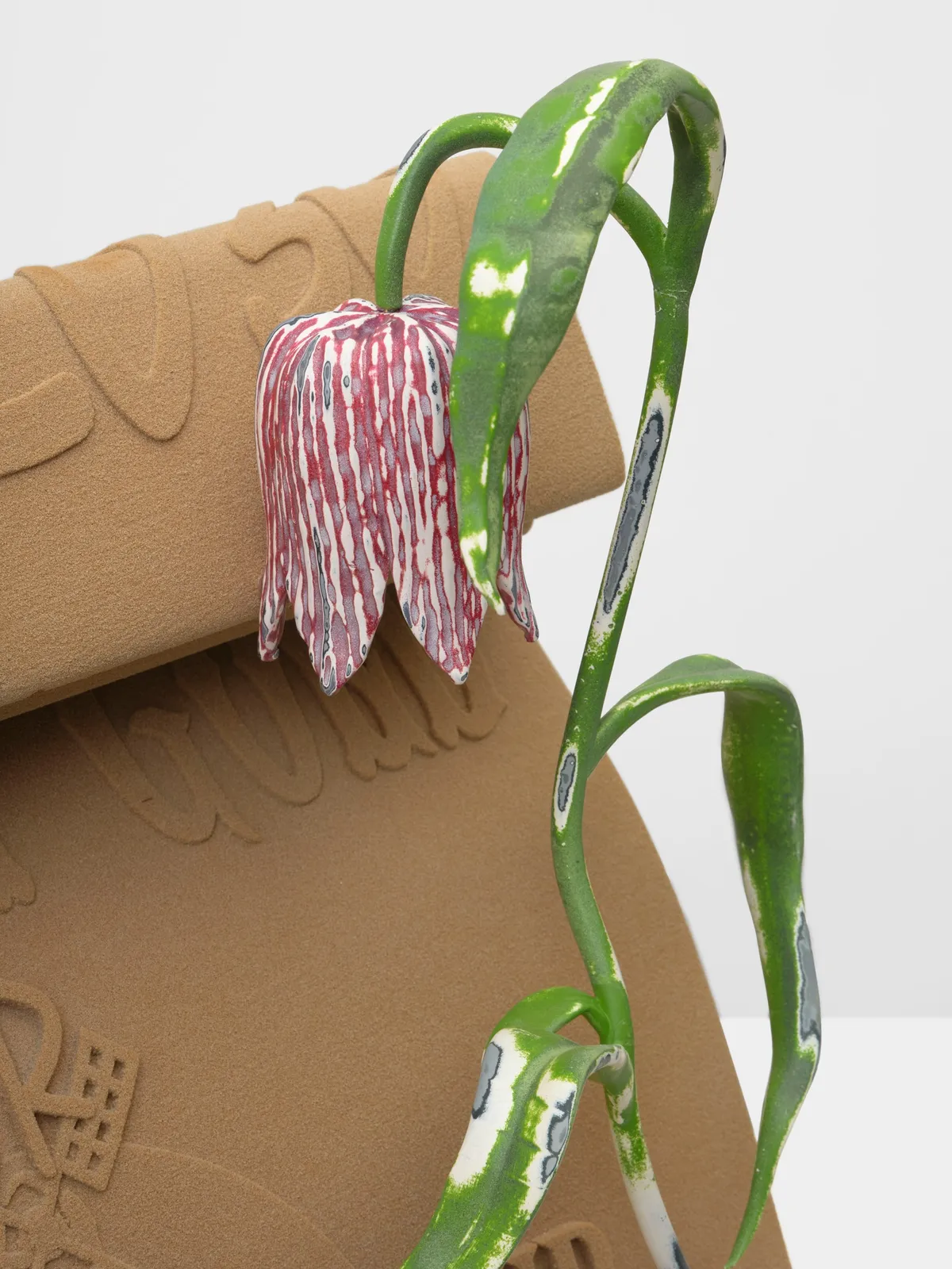 Image of What Grows (2704).