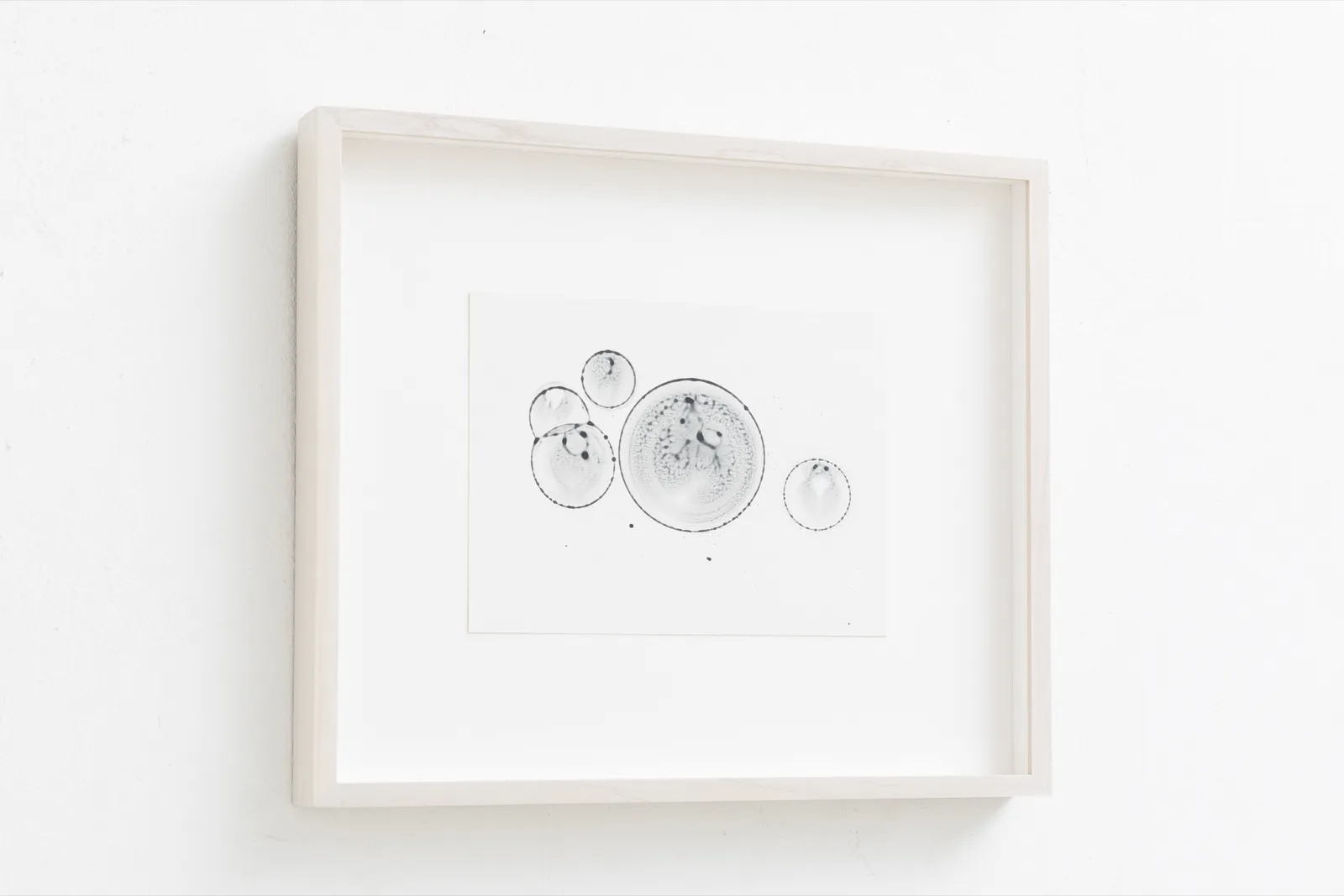 Image of Ha Chi Ki...