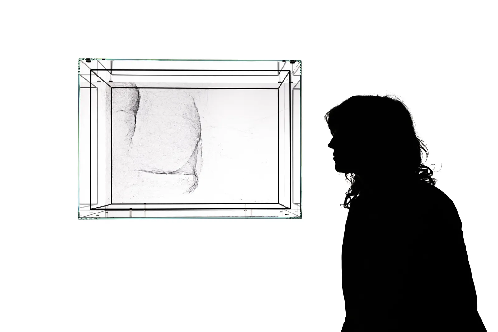 Image of Saraceno spider box.