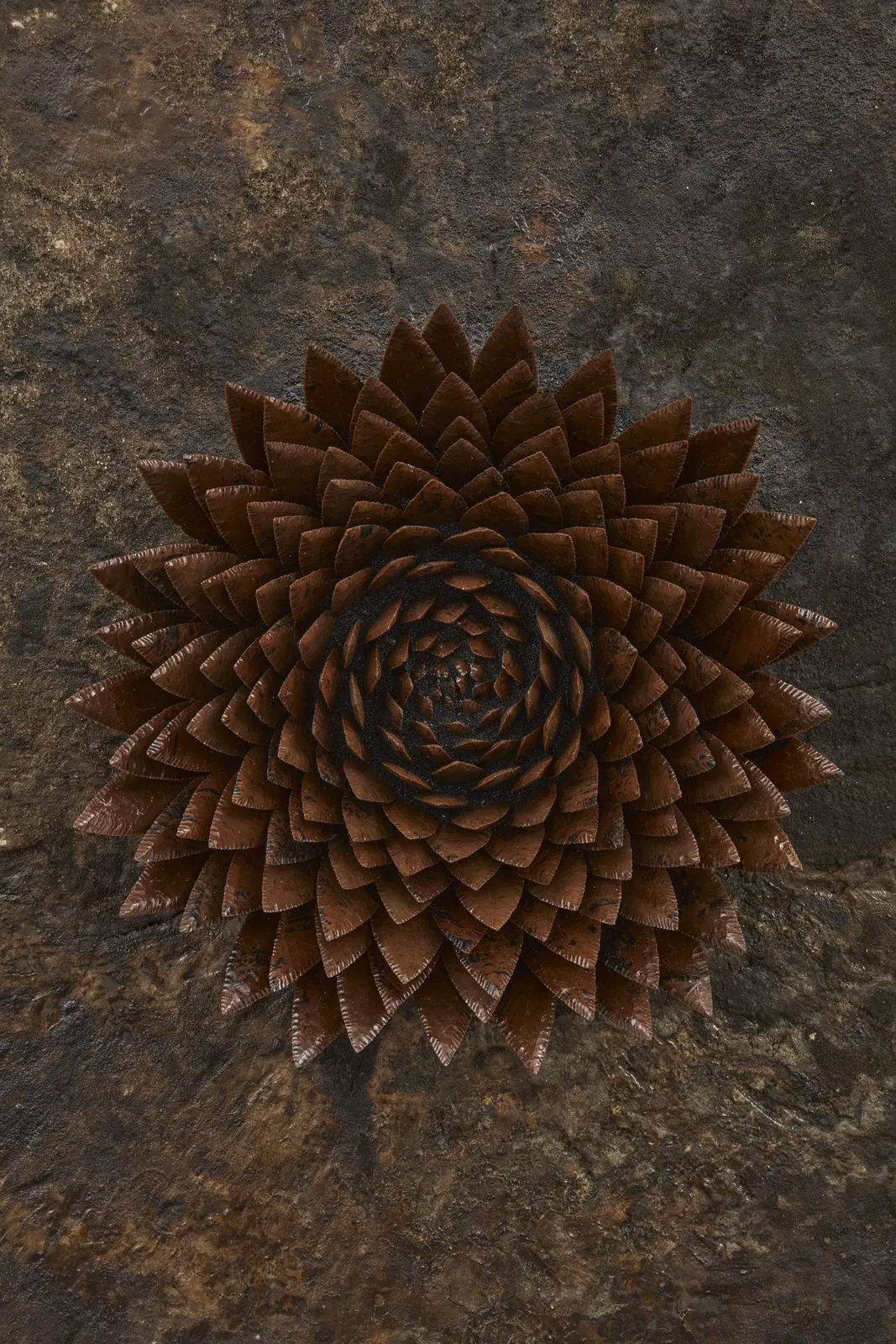 Image of Hrafntinnublómstur (Obsidian bloom) 2