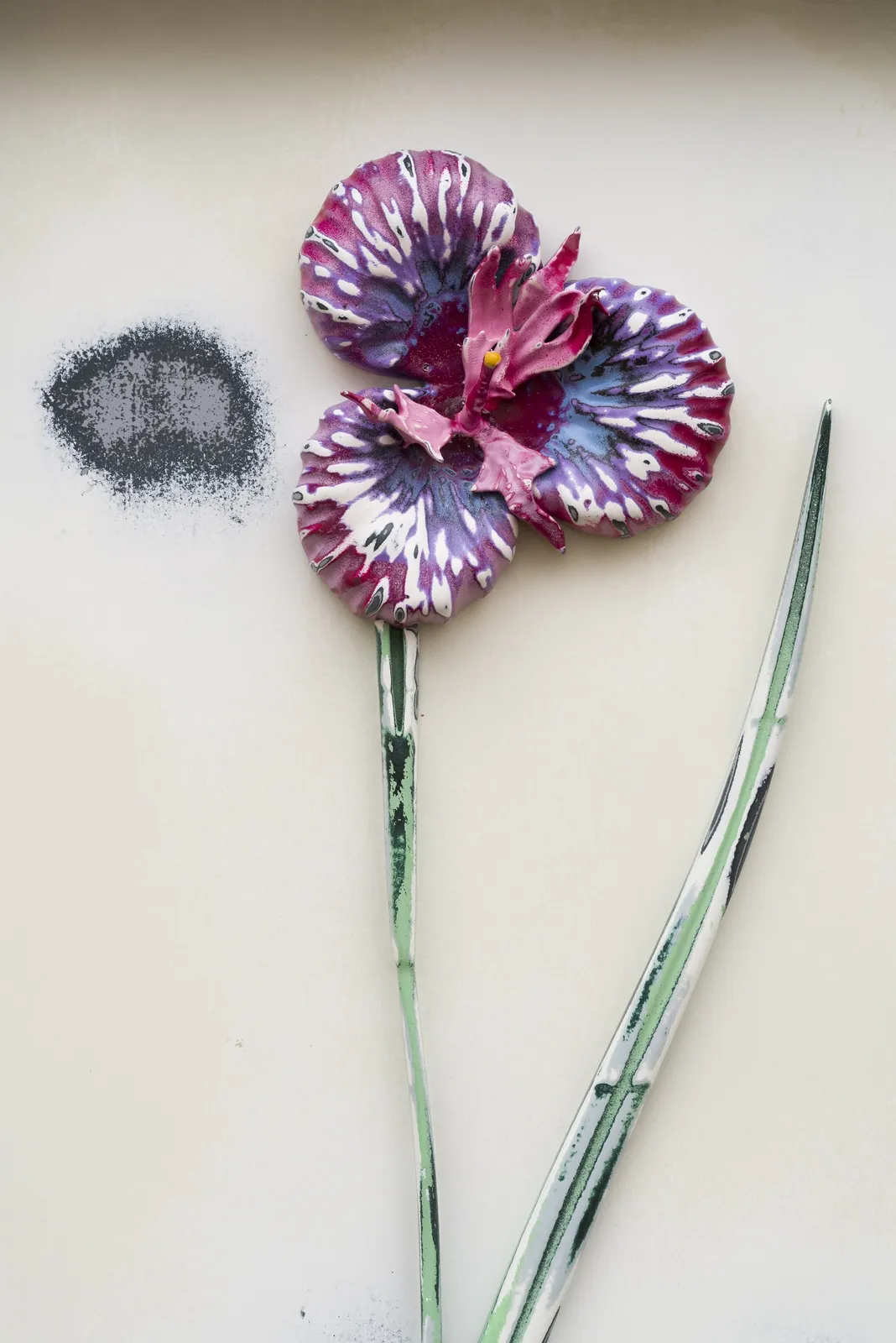 Image of Curtis (No. 571).