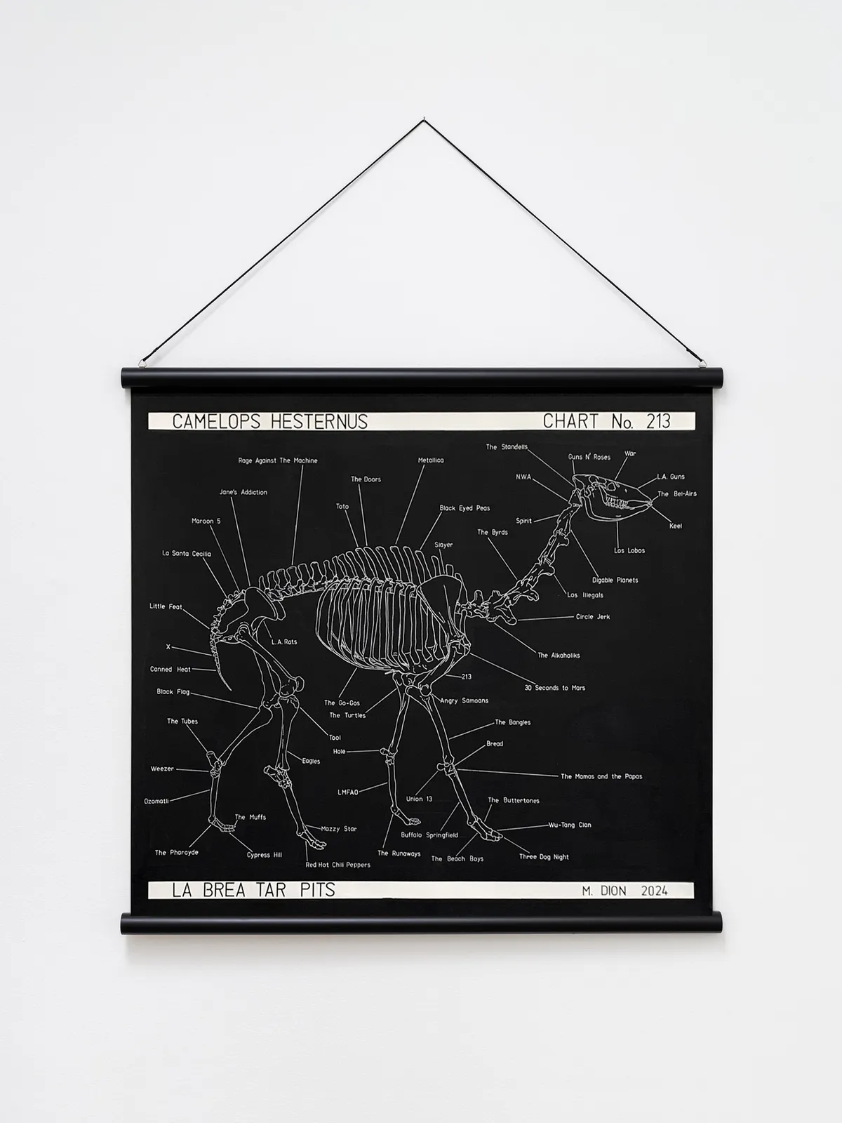 Image of Camelops hesternus.