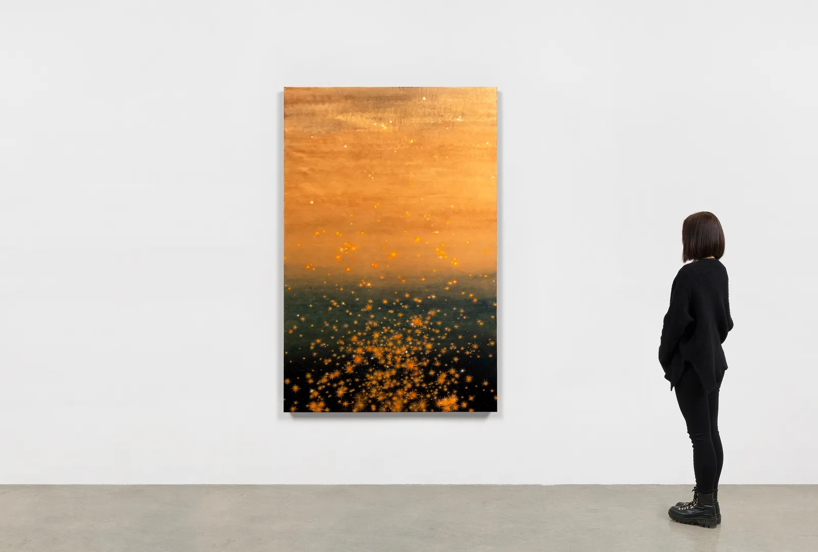 Image of The Stars' Paradox.