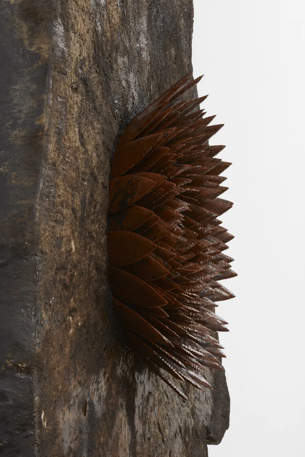 Image of Hrafntinnublómstur (Obsidian bloom) 2