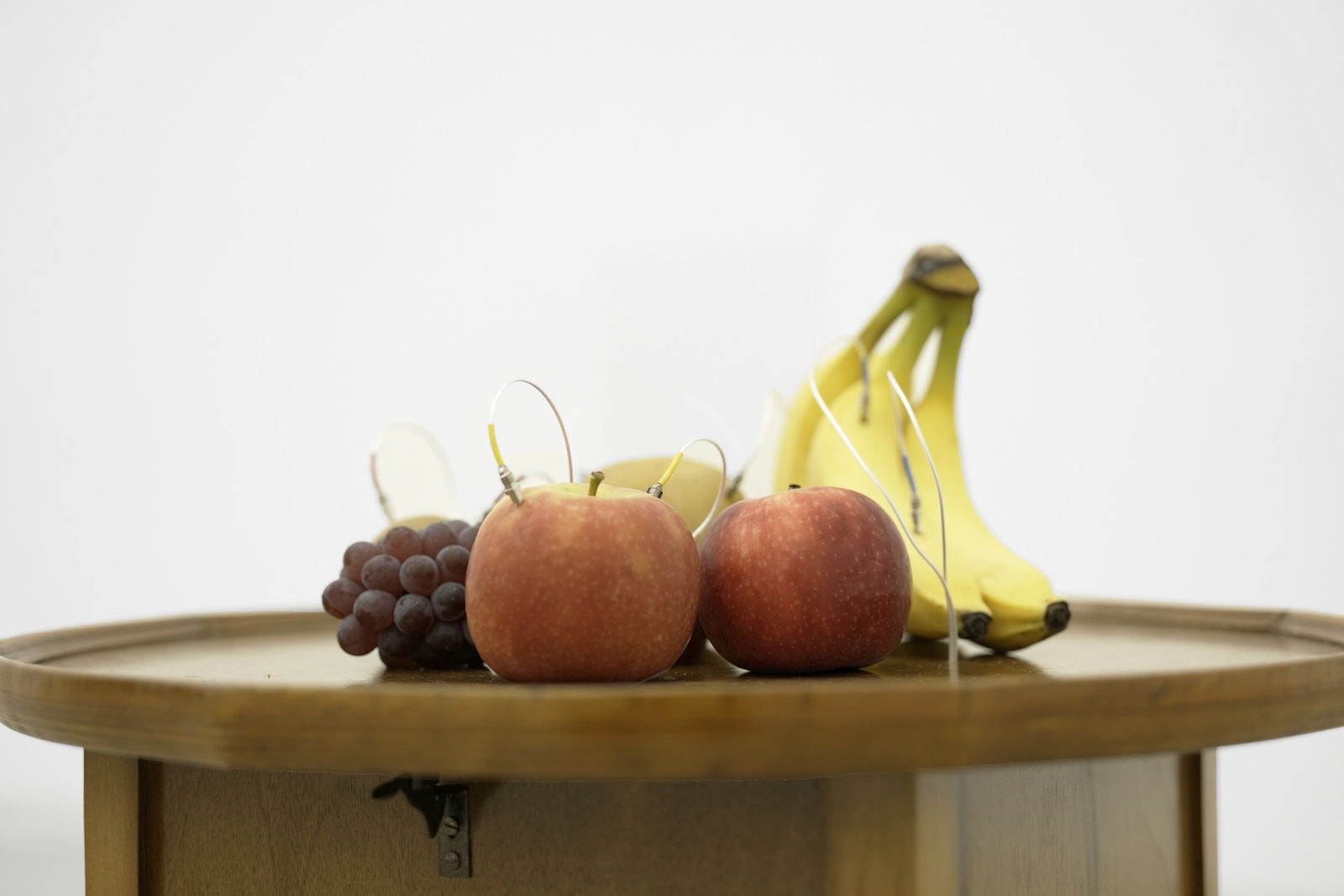 Image of Decomposition.